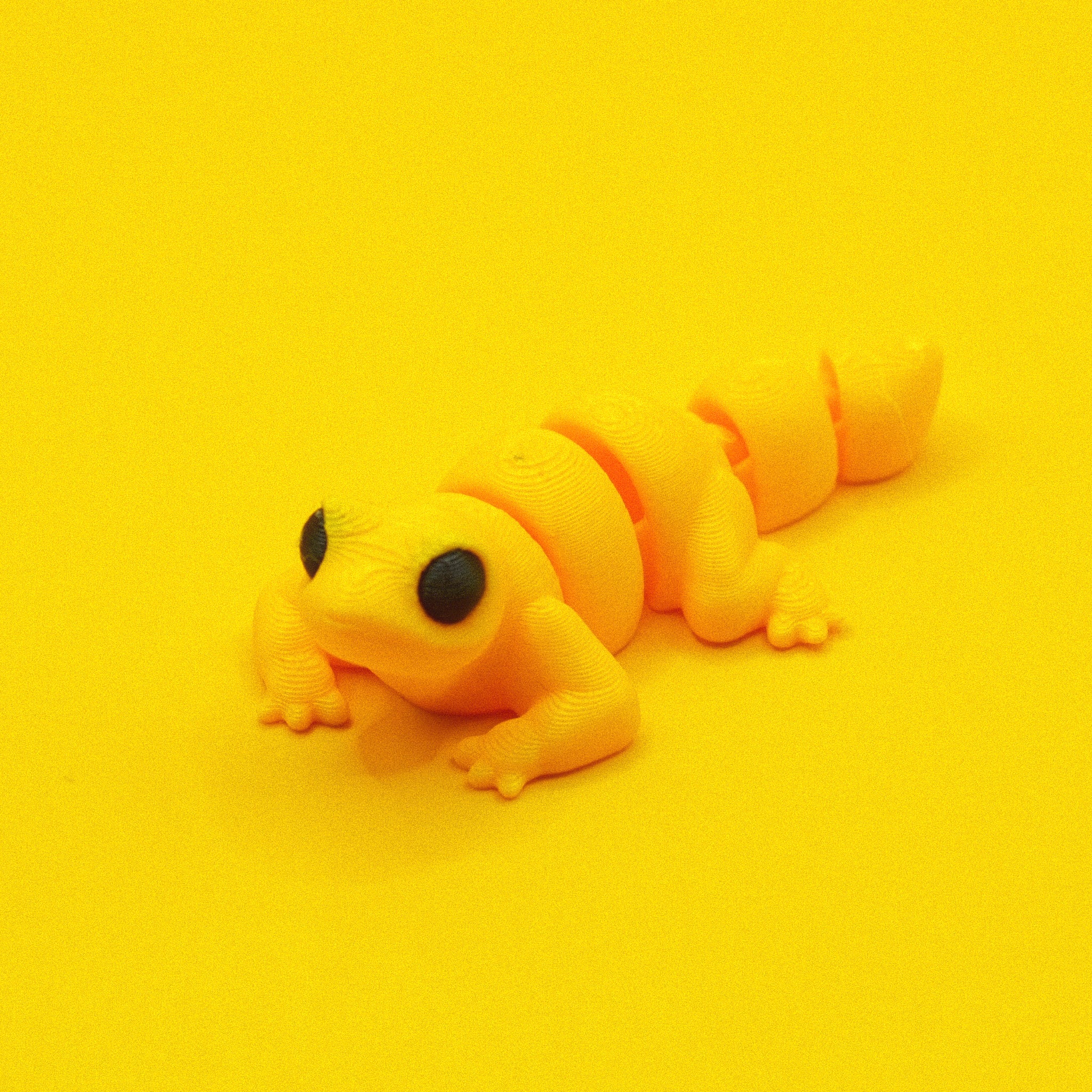 Lizard