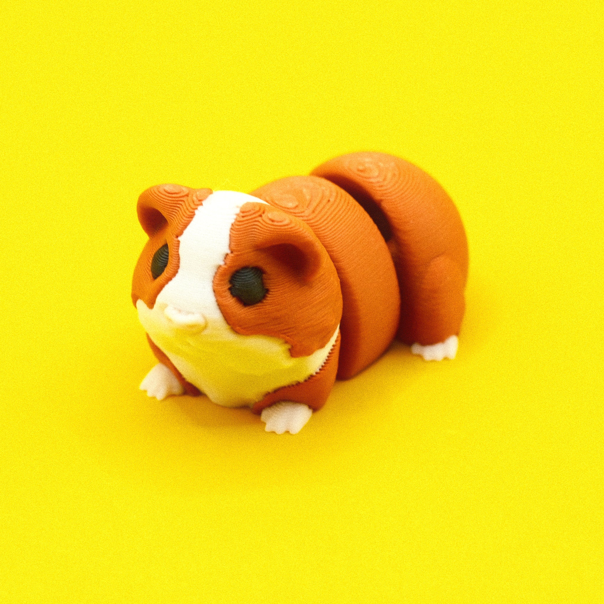 Guinea Pig