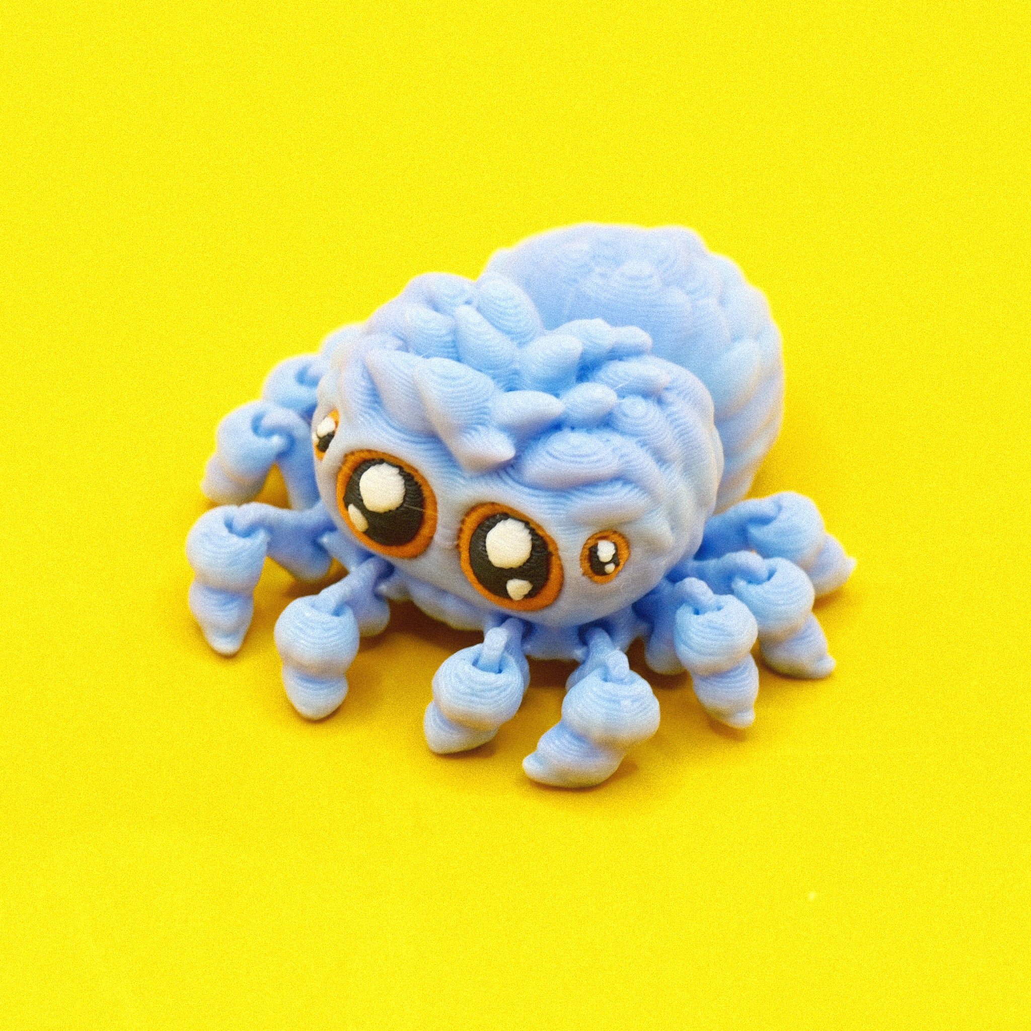 Jumping Spider