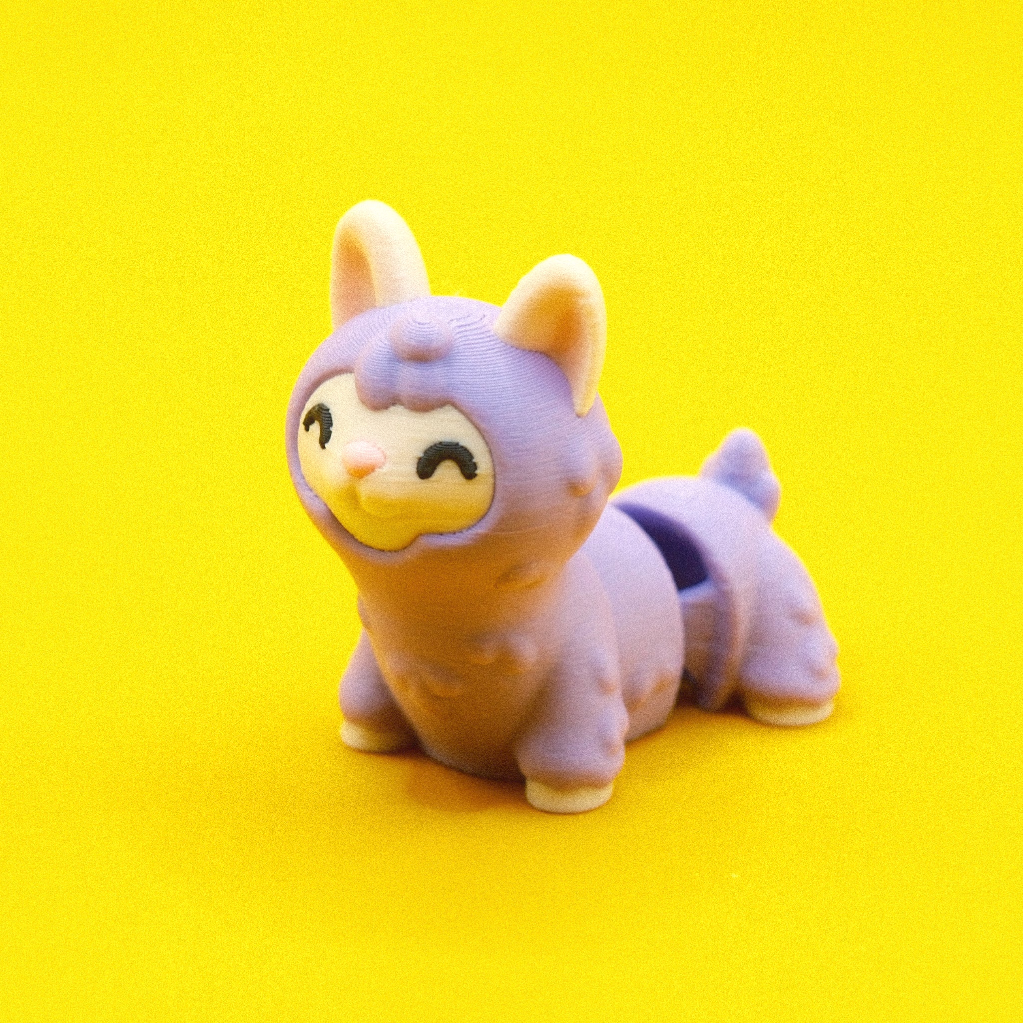 #63 Llama