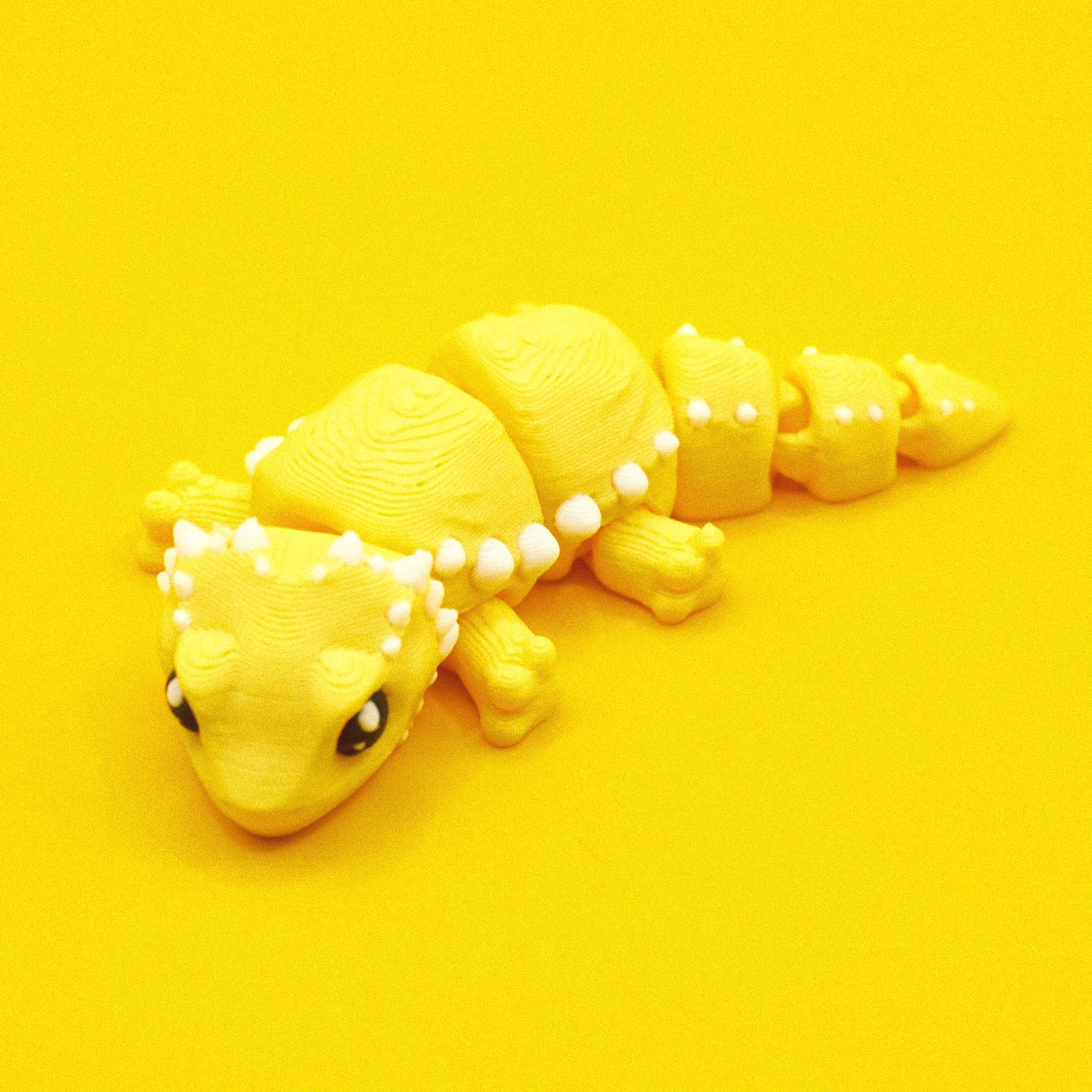 Bearded Dragon