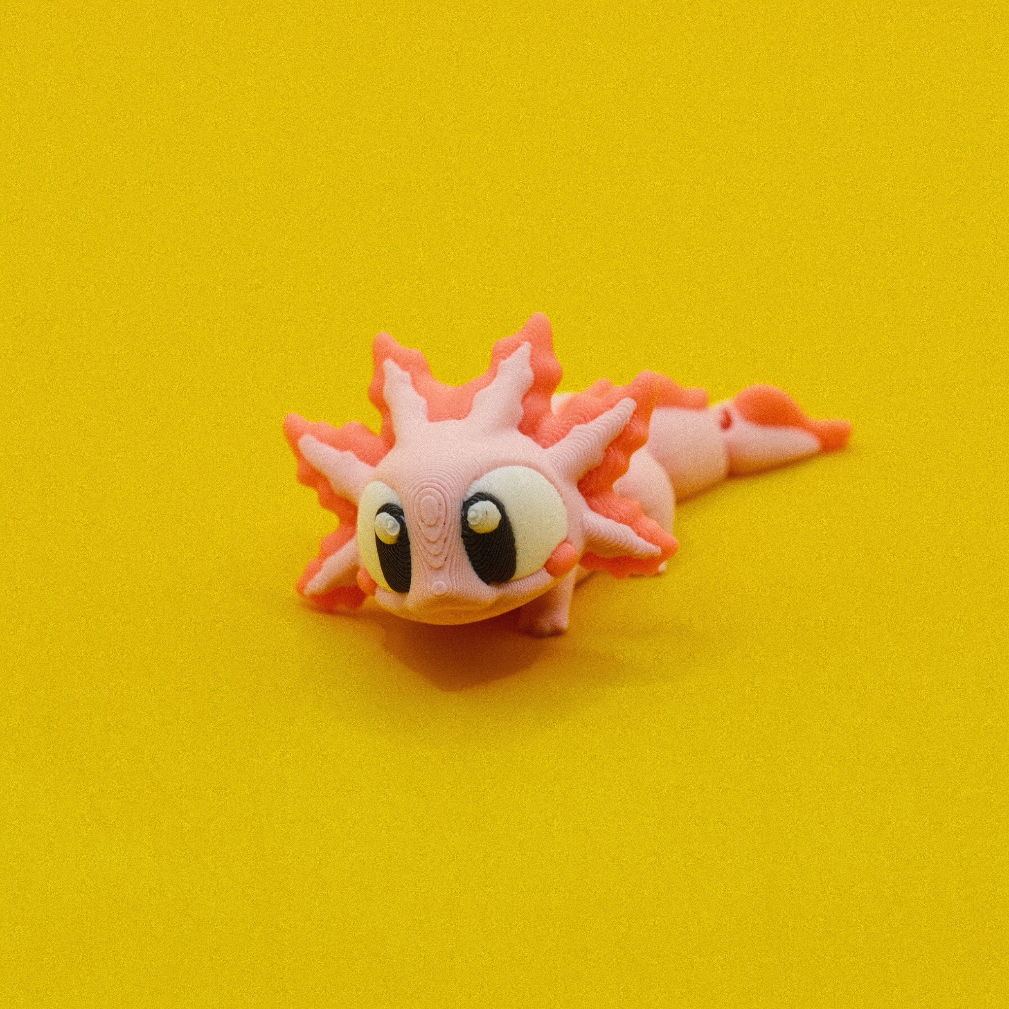 Axolotl
