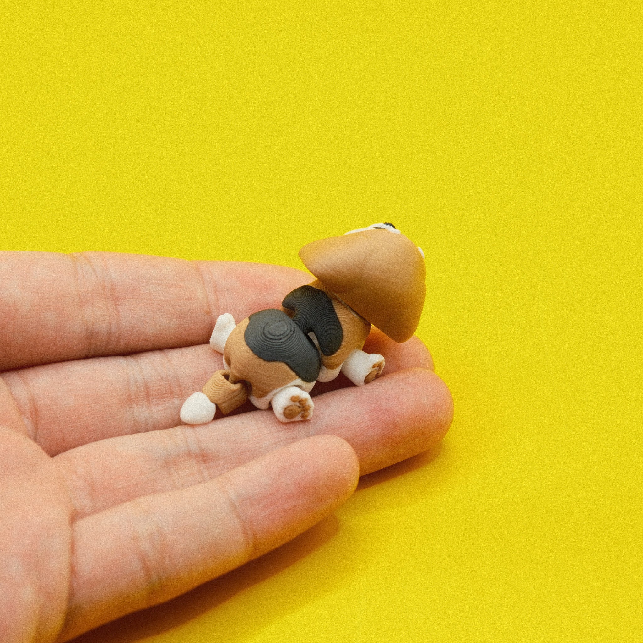 Beagle