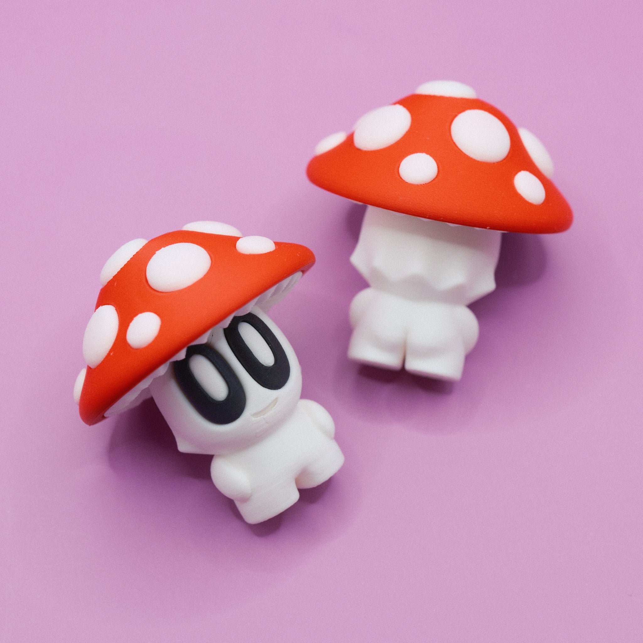 Toadstool Mushroom