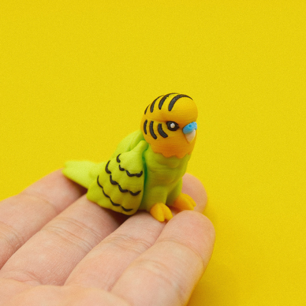 Budgie