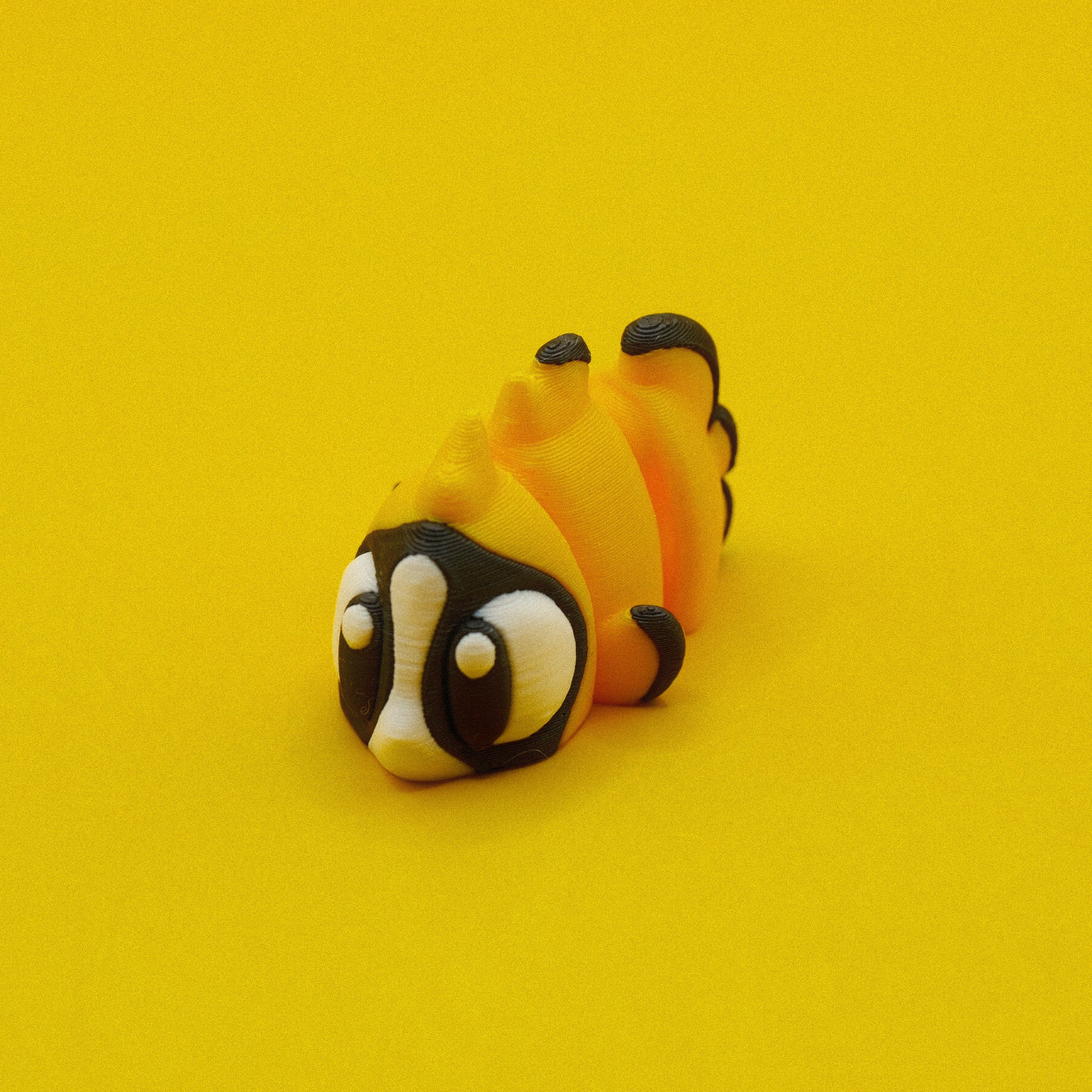 Butterfly Fish