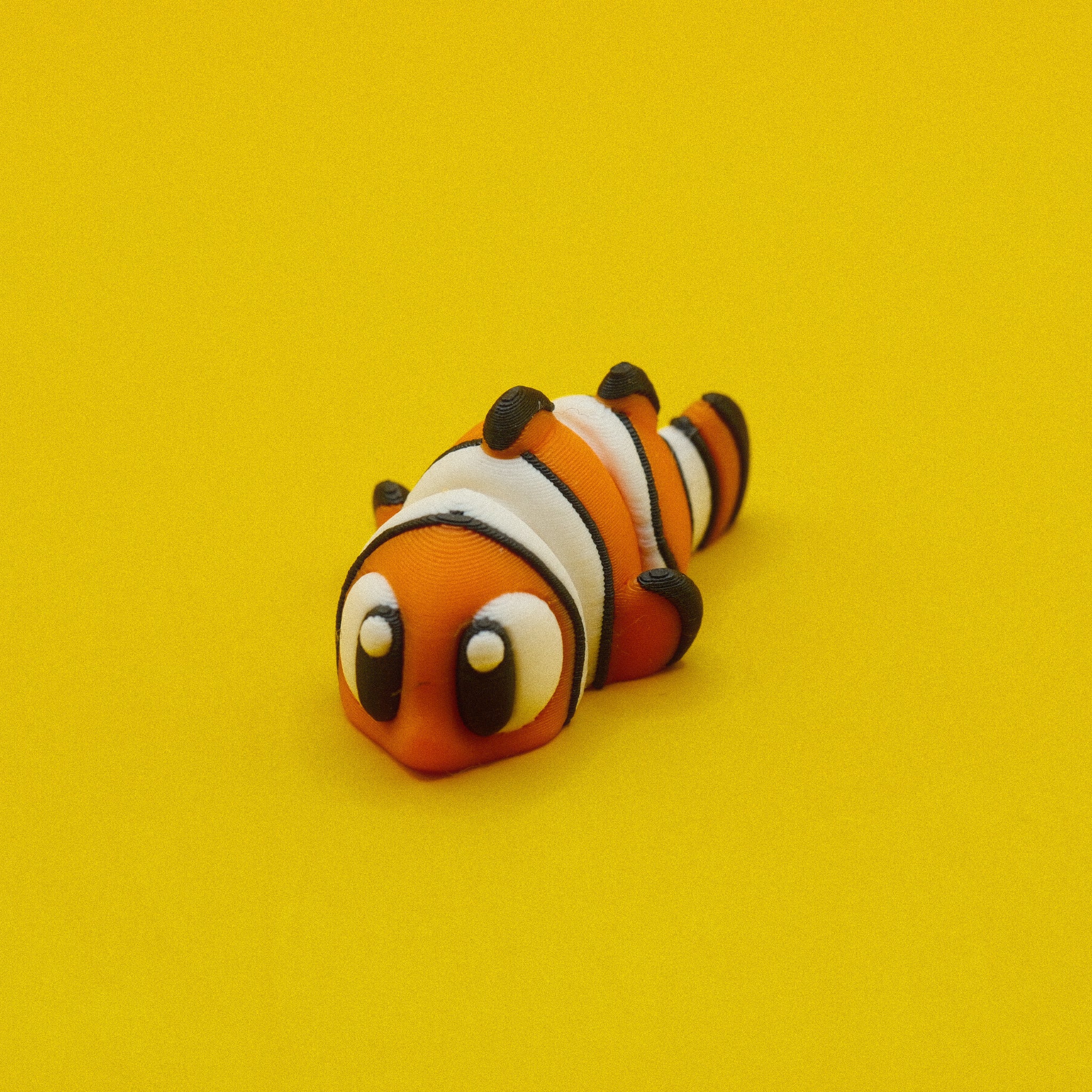 Clown Fish