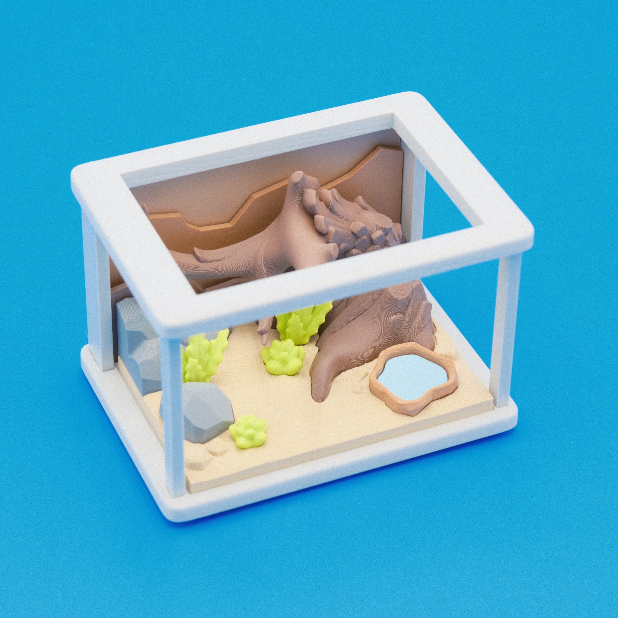 Terrarium Enclosure