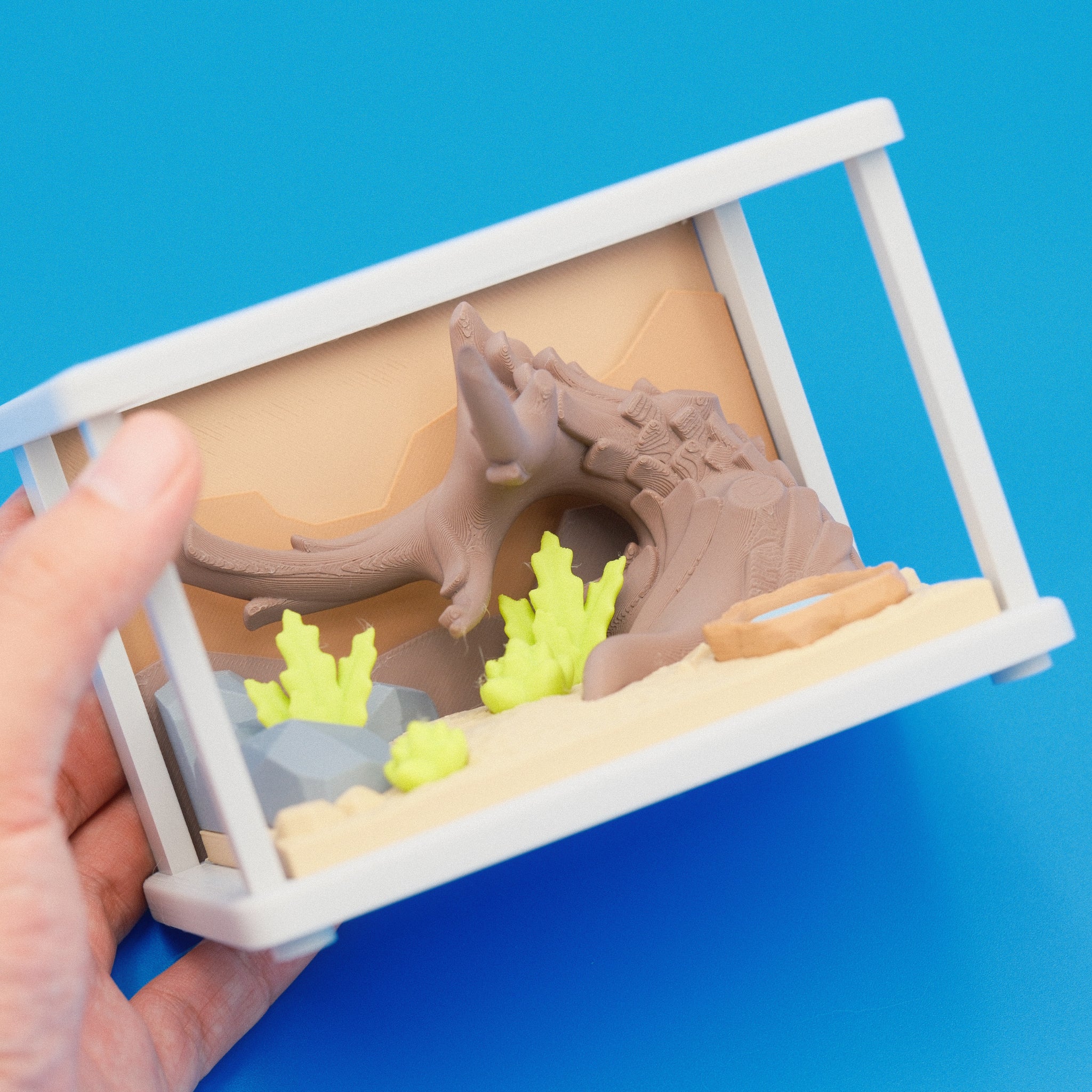 Terrarium Enclosure