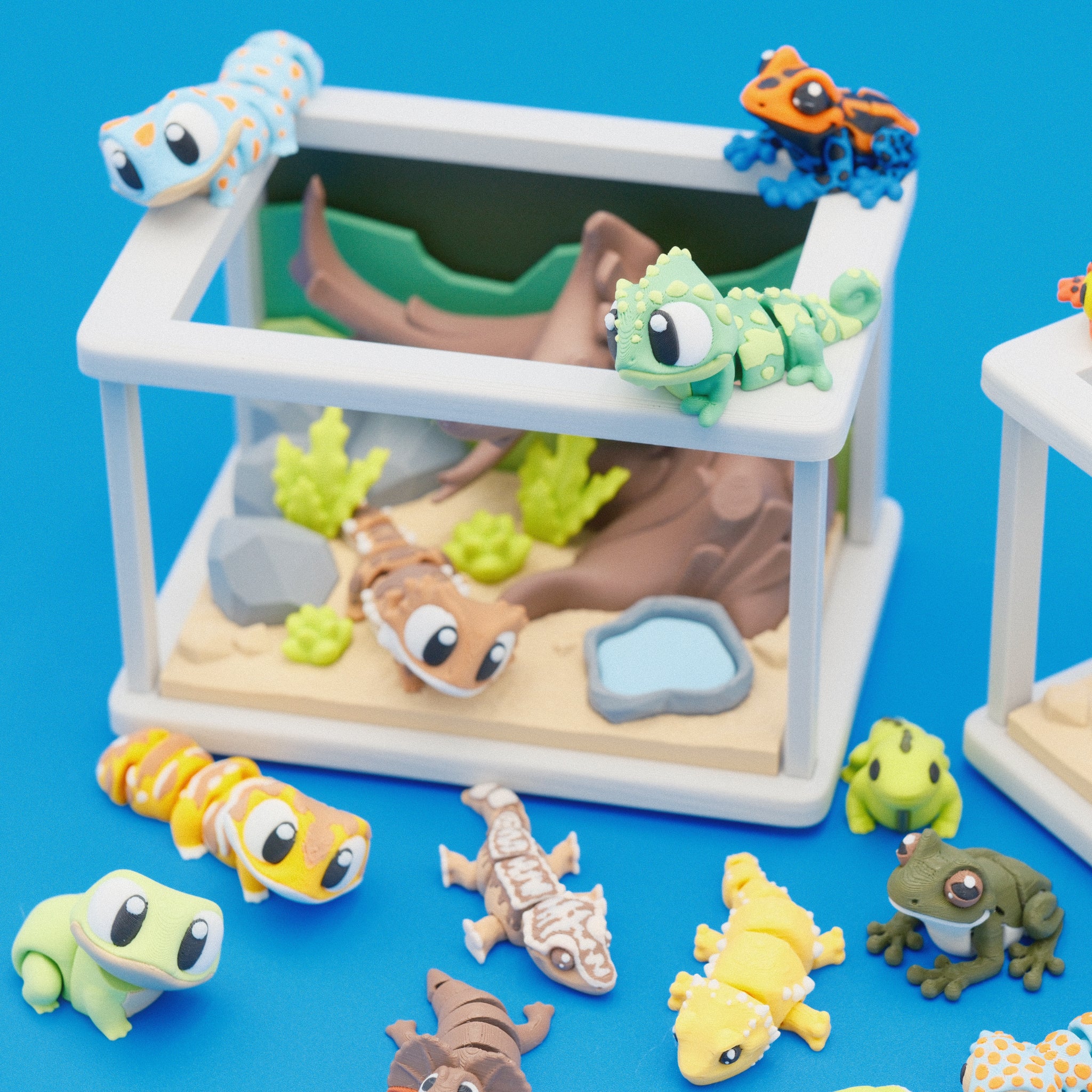 Build Your Terrarium Set