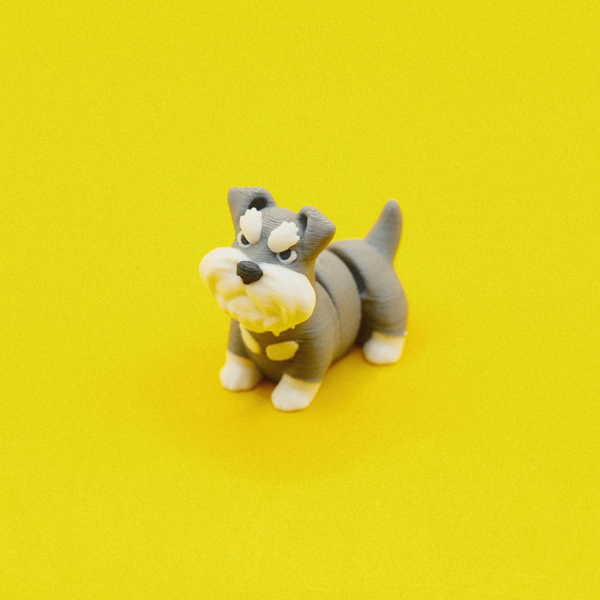 Schnauzer