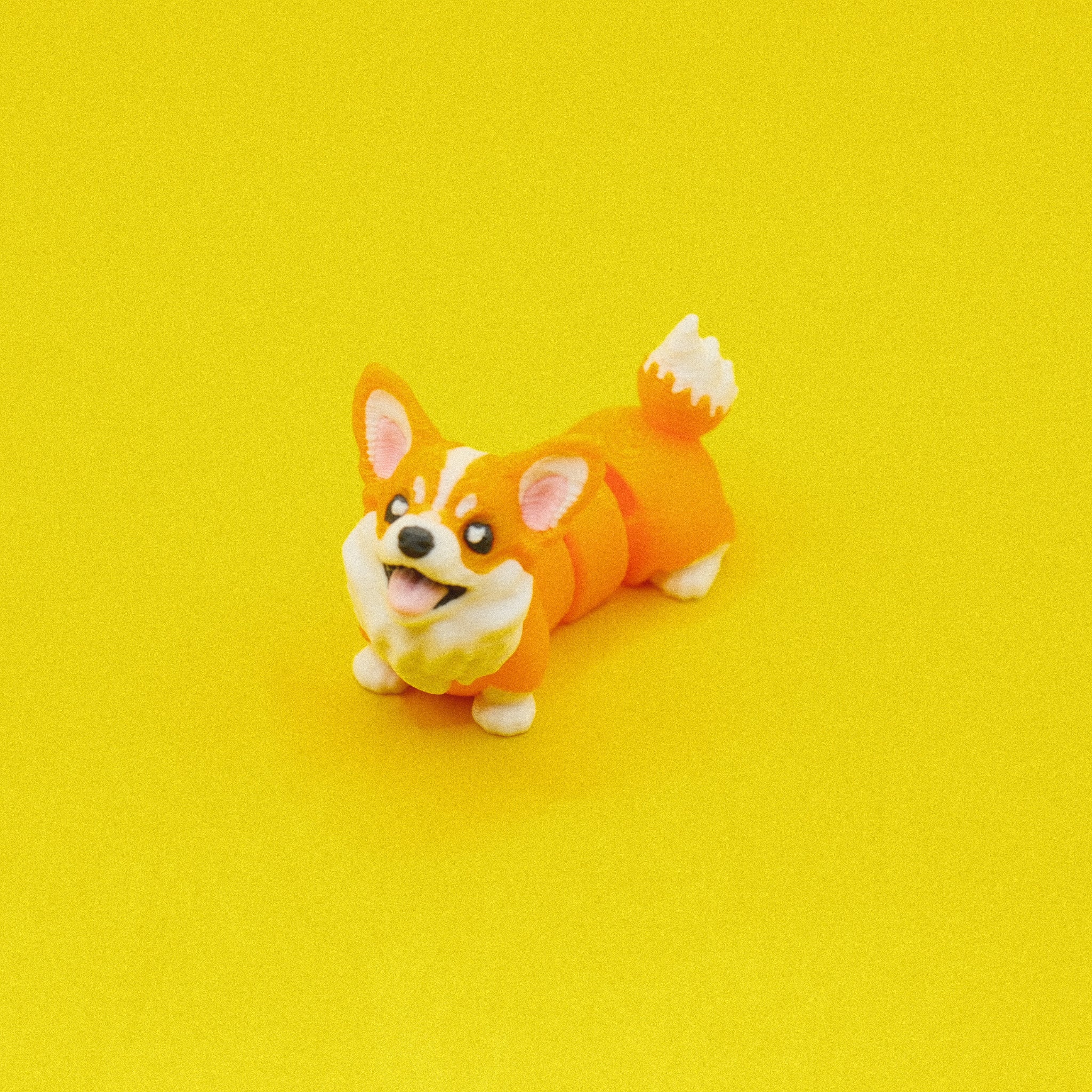 Corgi