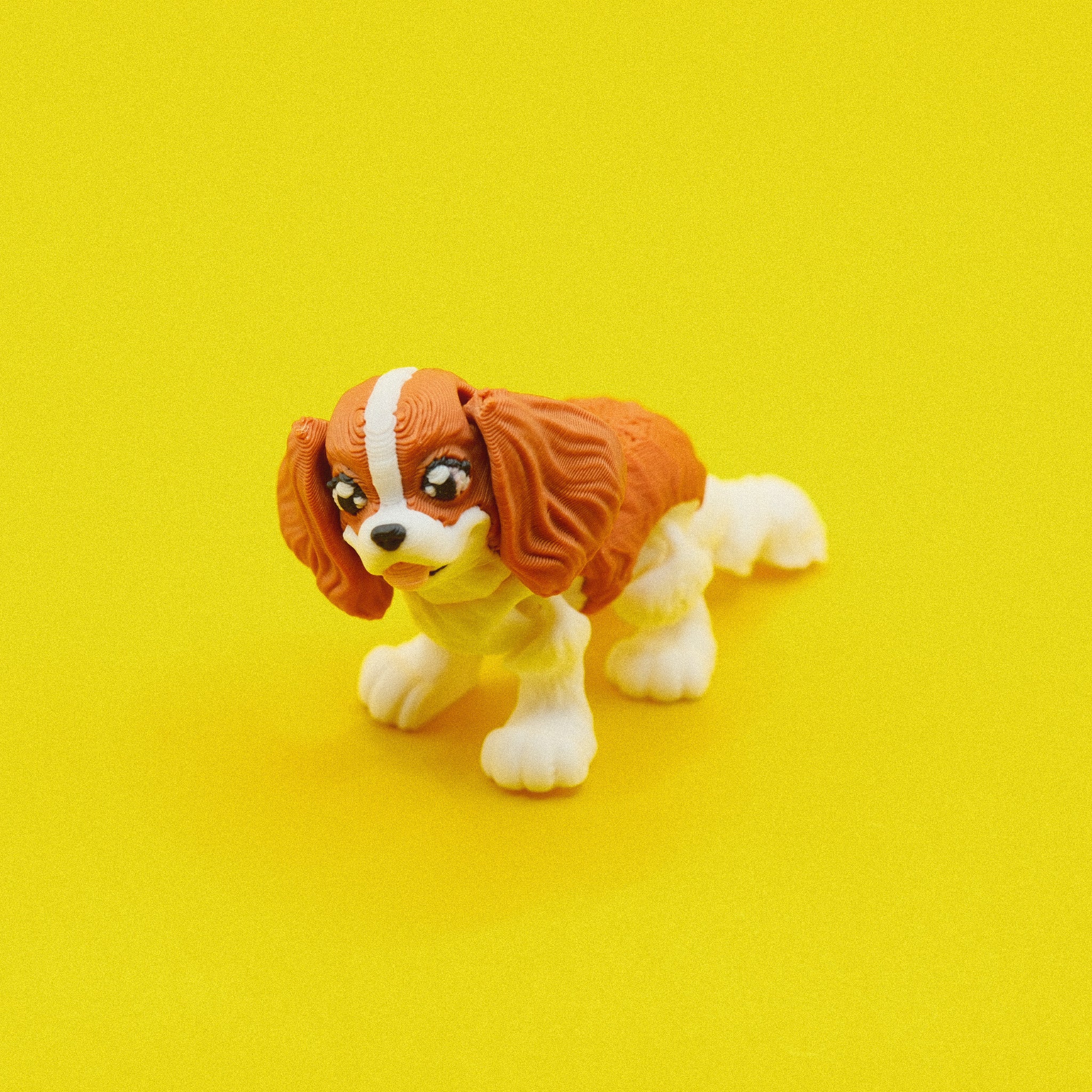 King Charles Spaniel