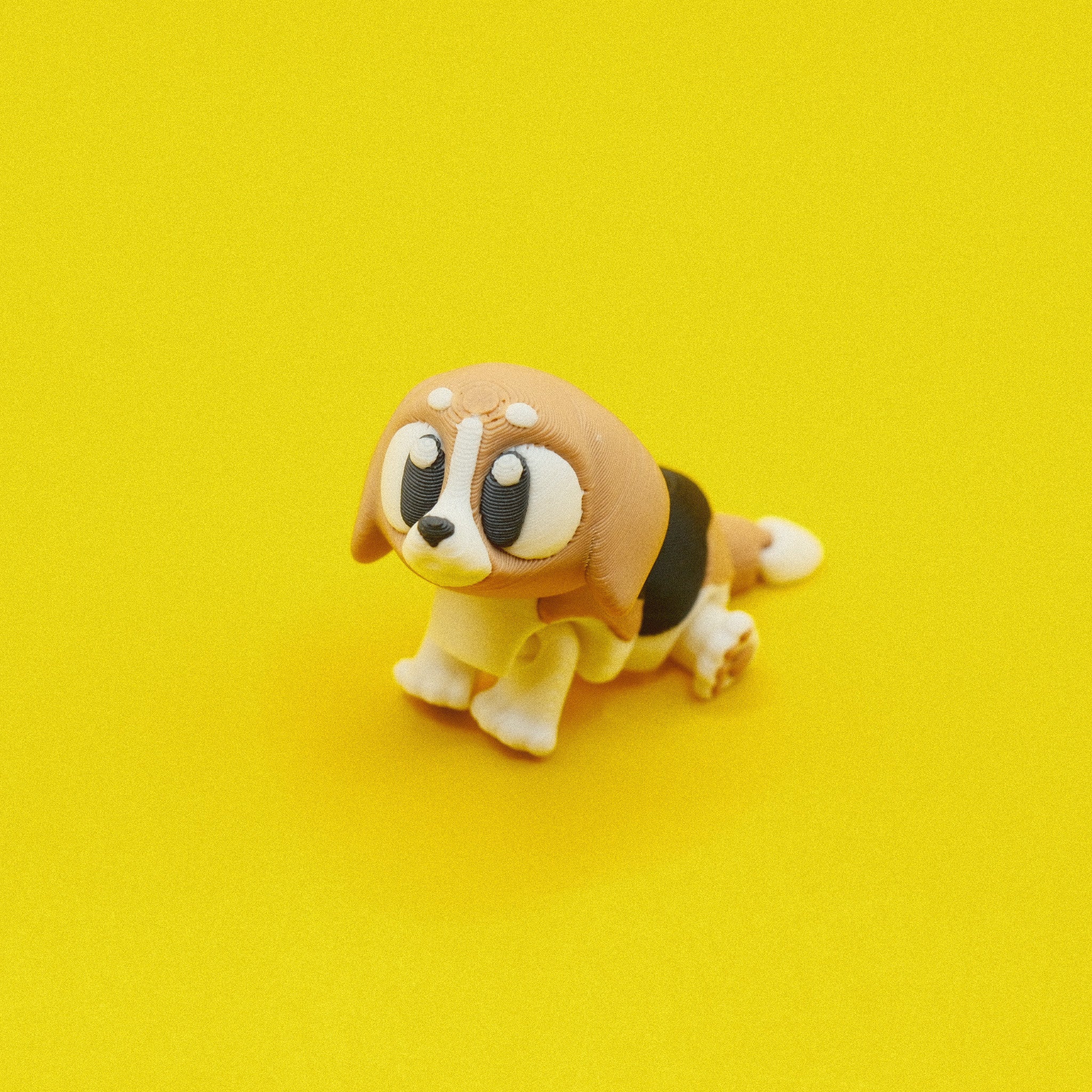 Beagle
