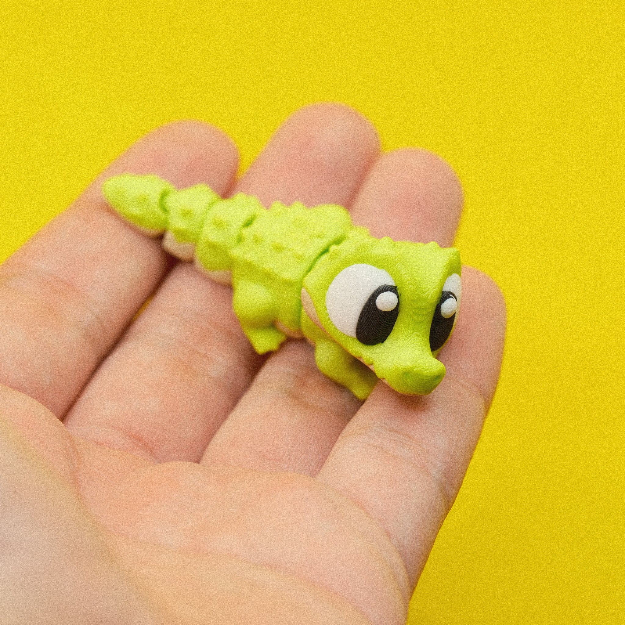 Crocodile