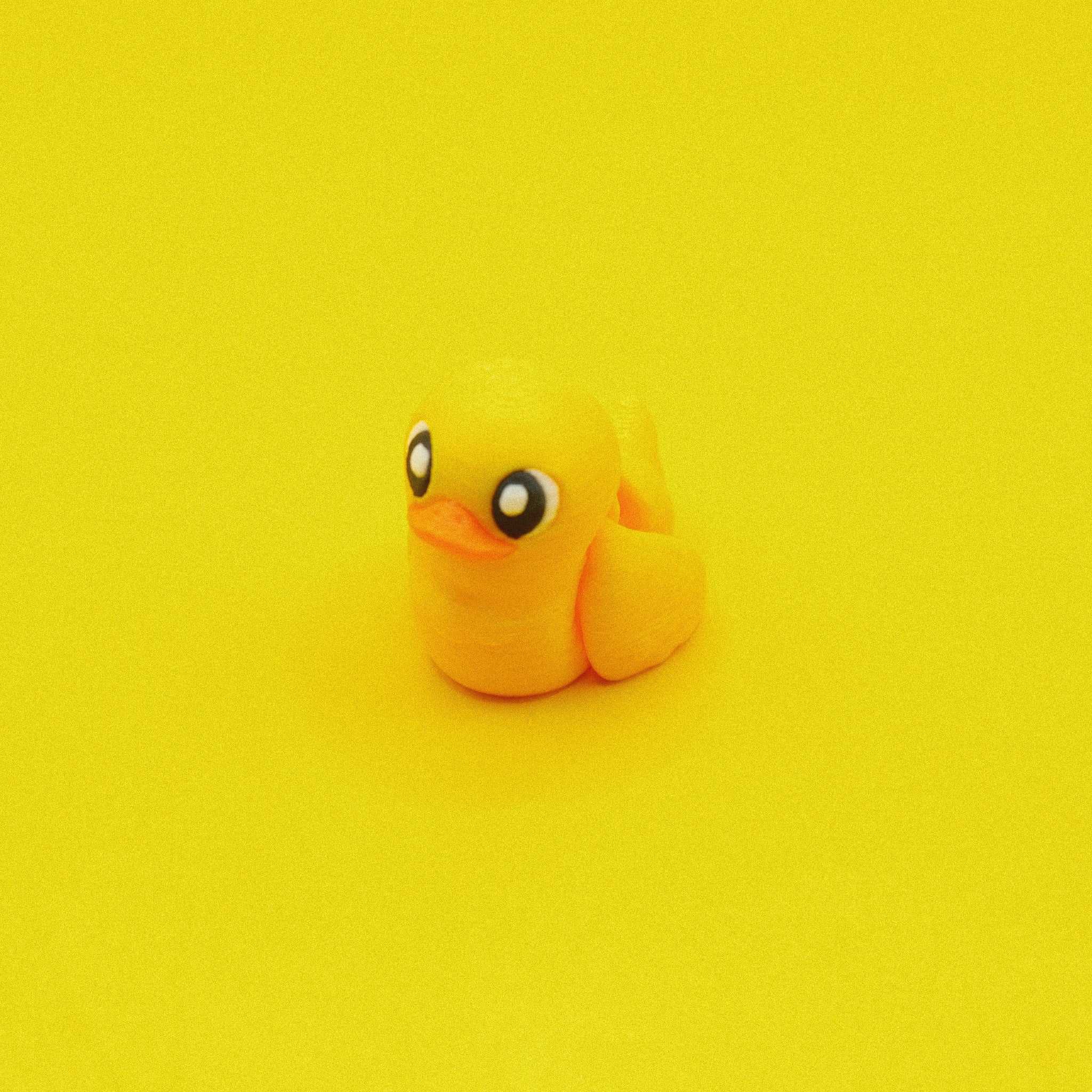 Duck