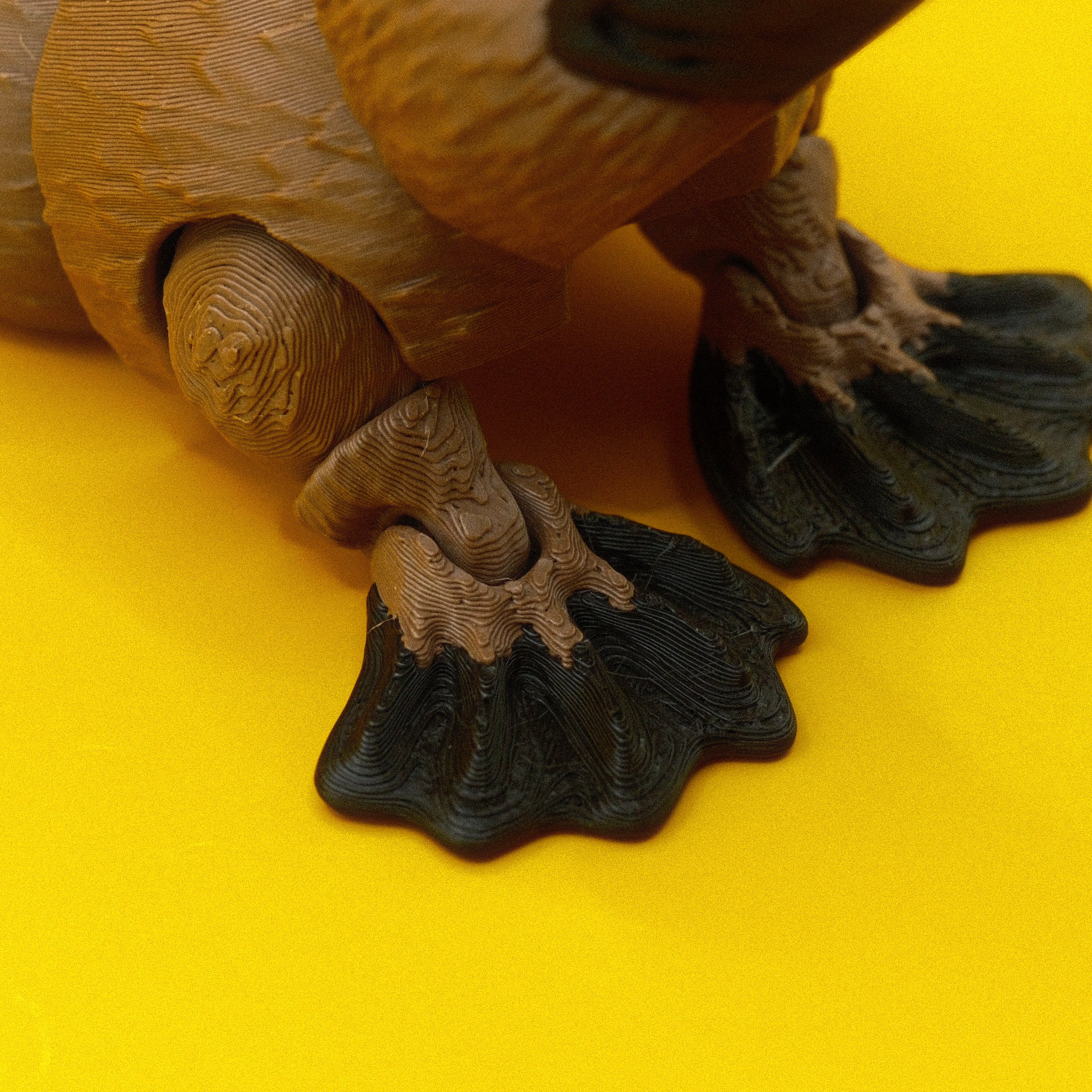 Platypus