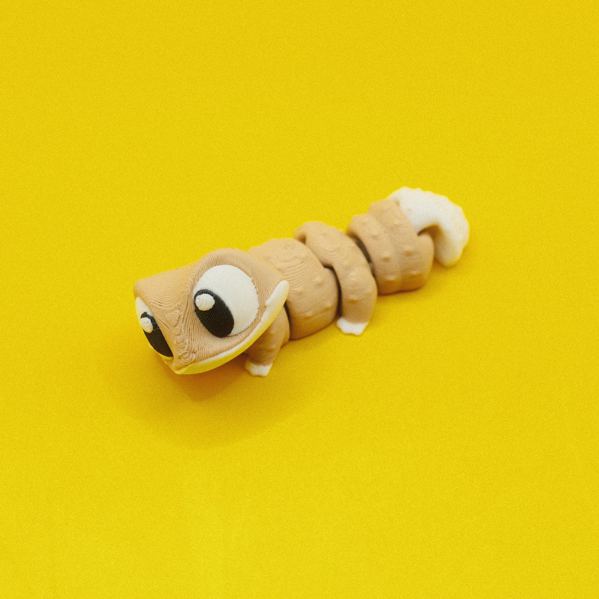 Gecko