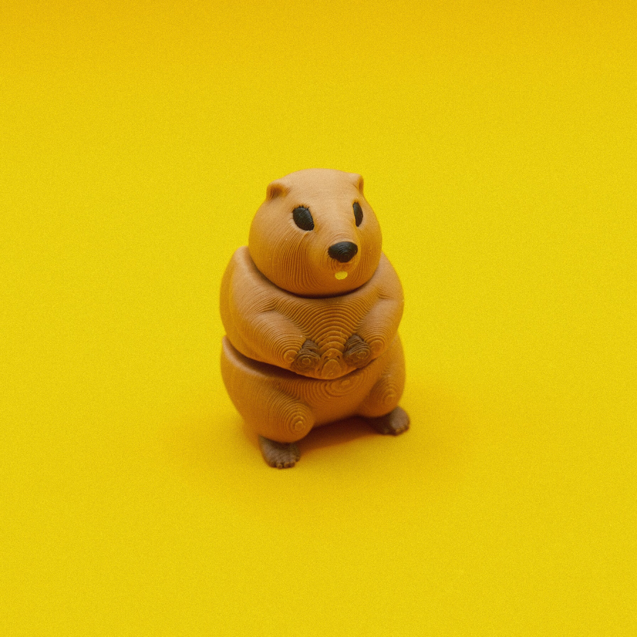 Groundhog