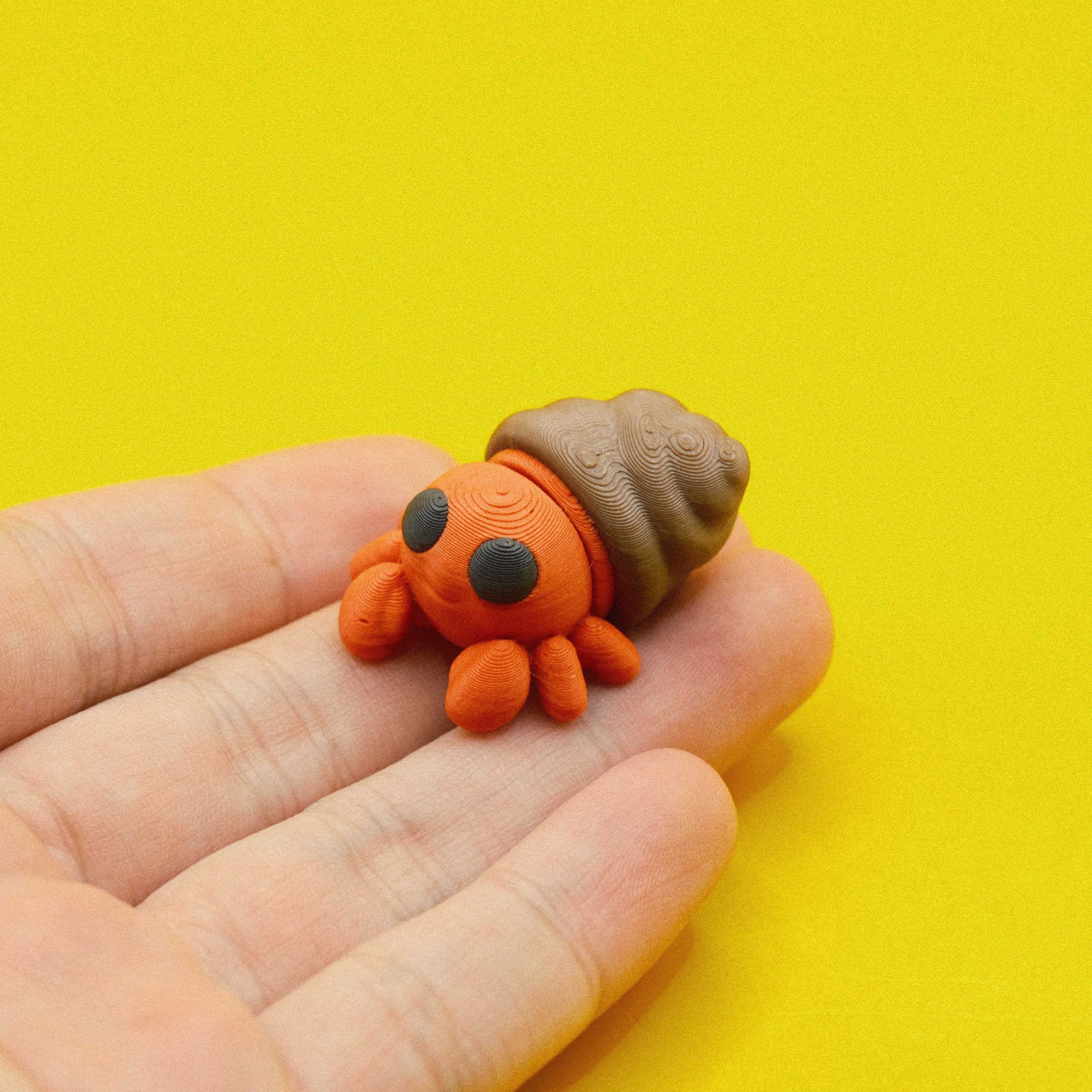 Hermit Crab