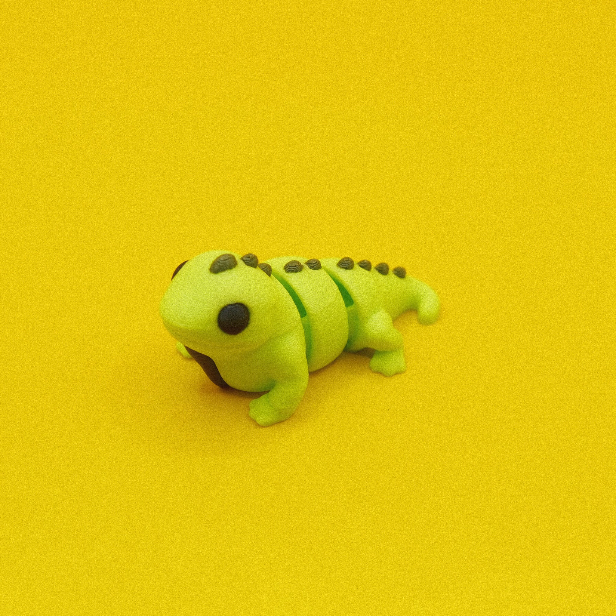 Iguana