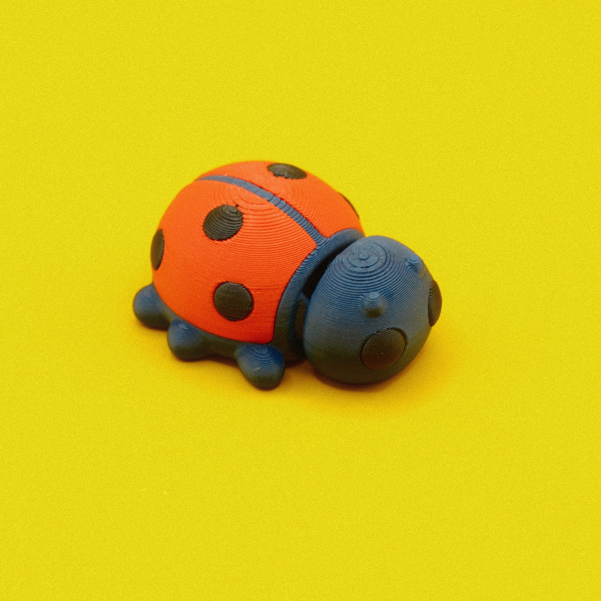 Ladybug
