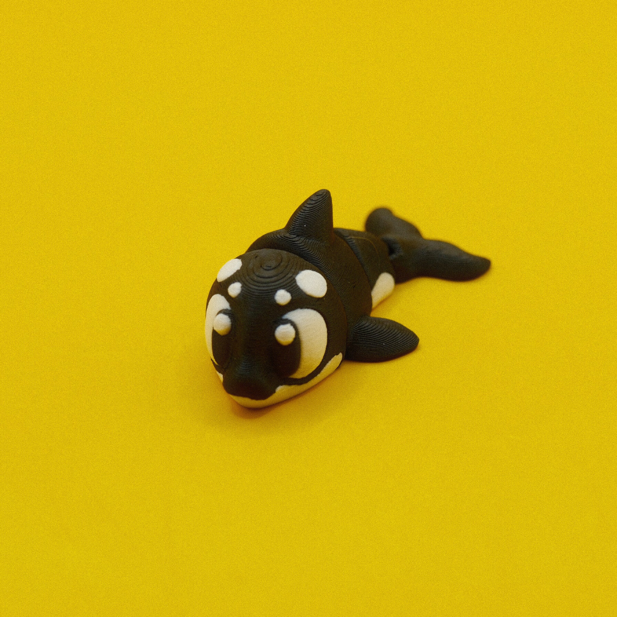 Orca