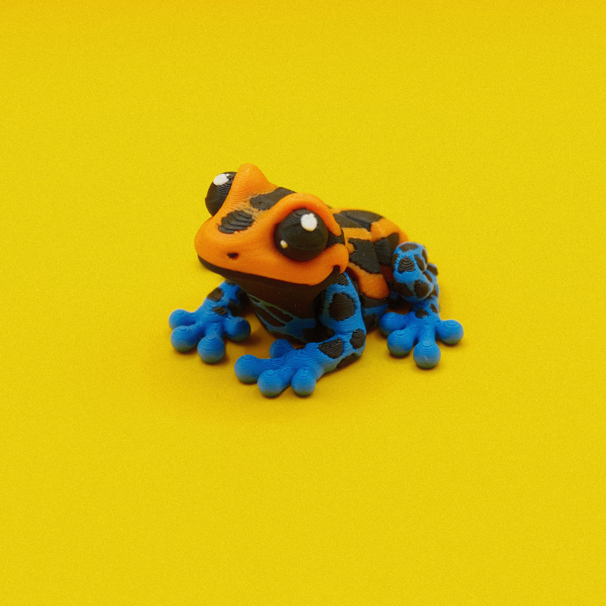 Poison Dart Frog