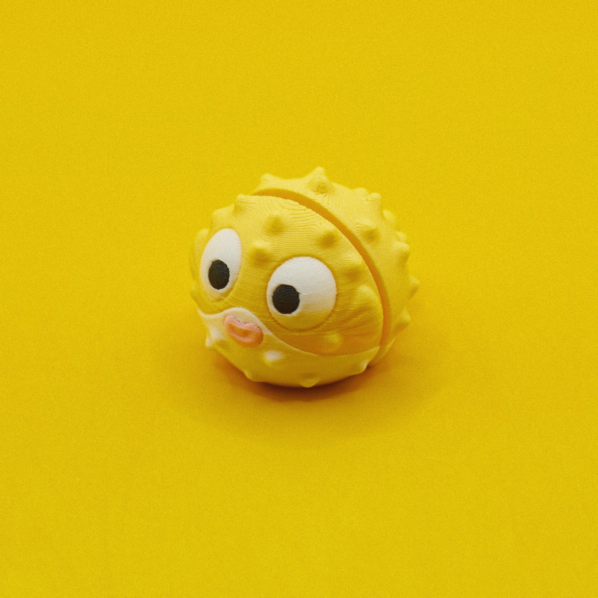 Puffer Fish