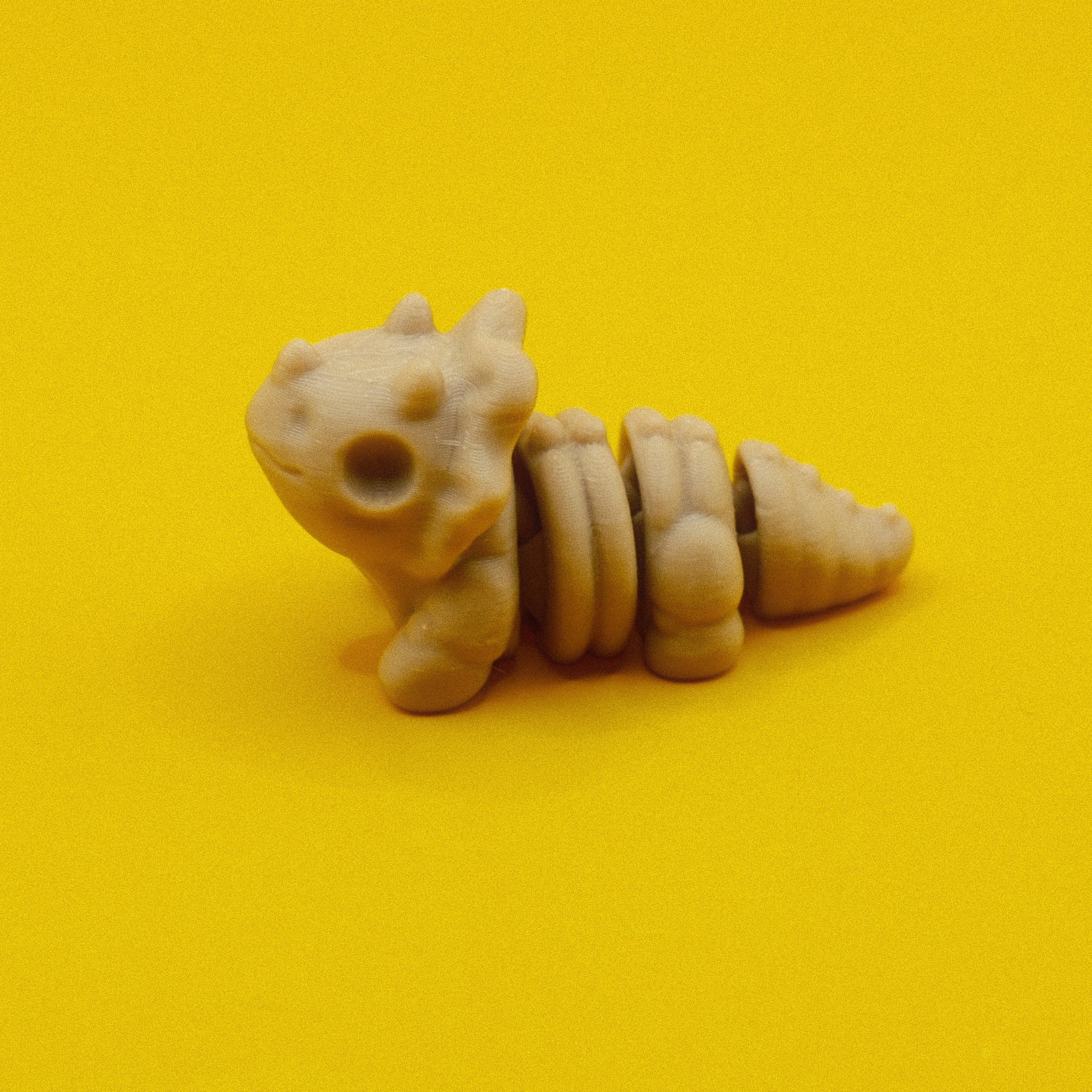 Skeleton Triceratops