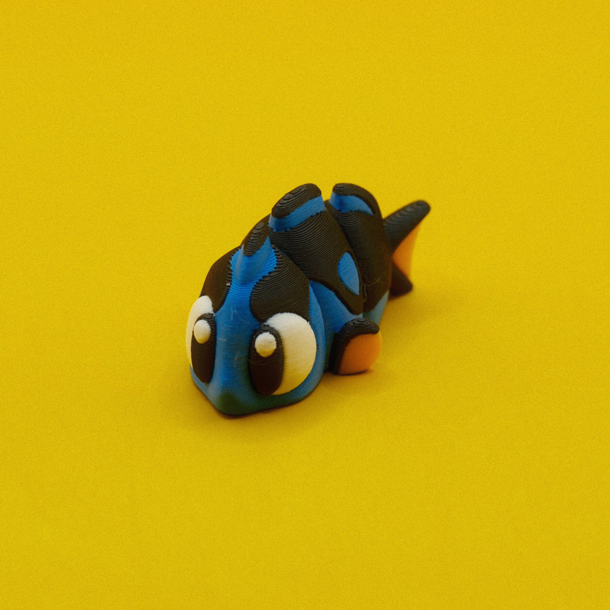 Surgeon Fish