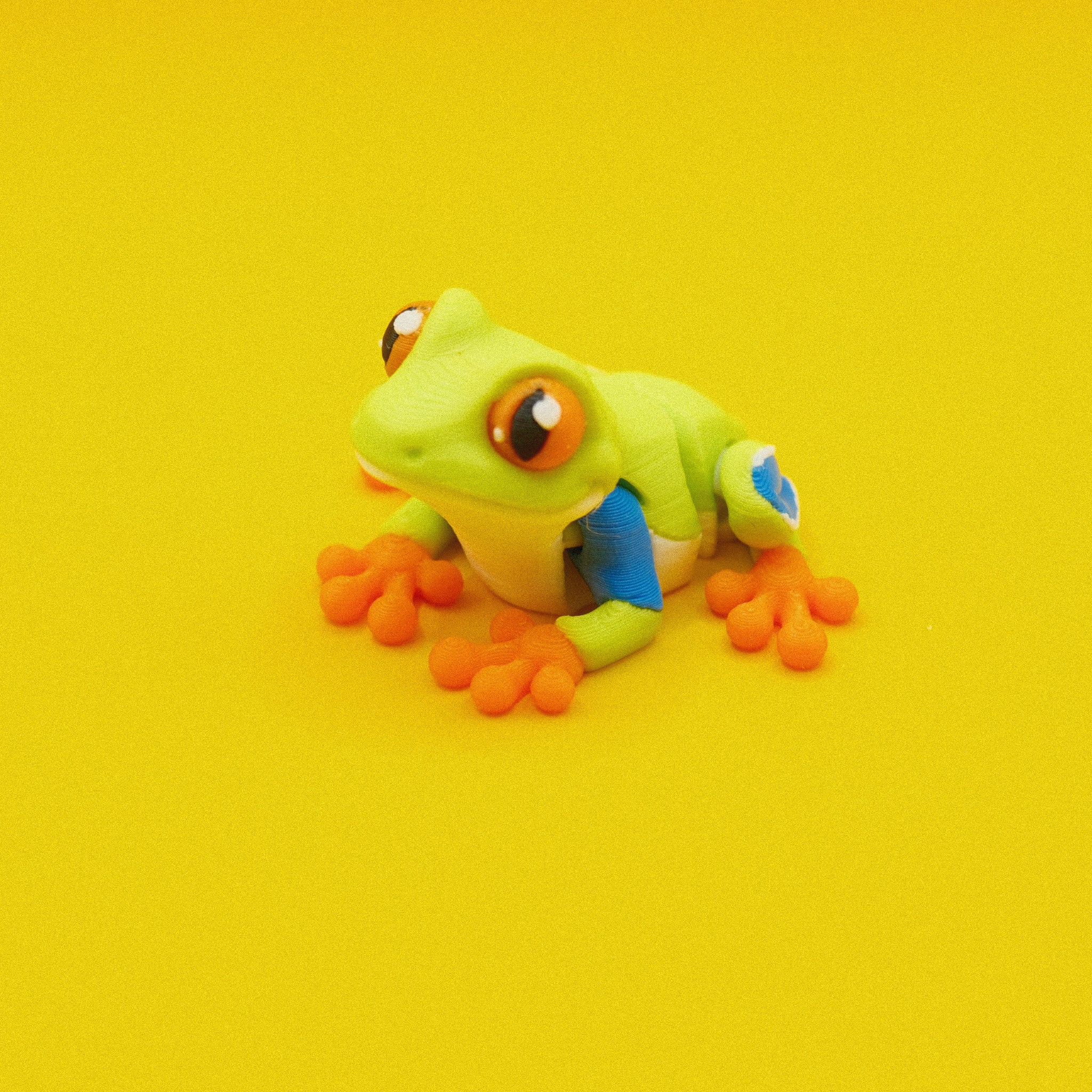 Tree Frog
