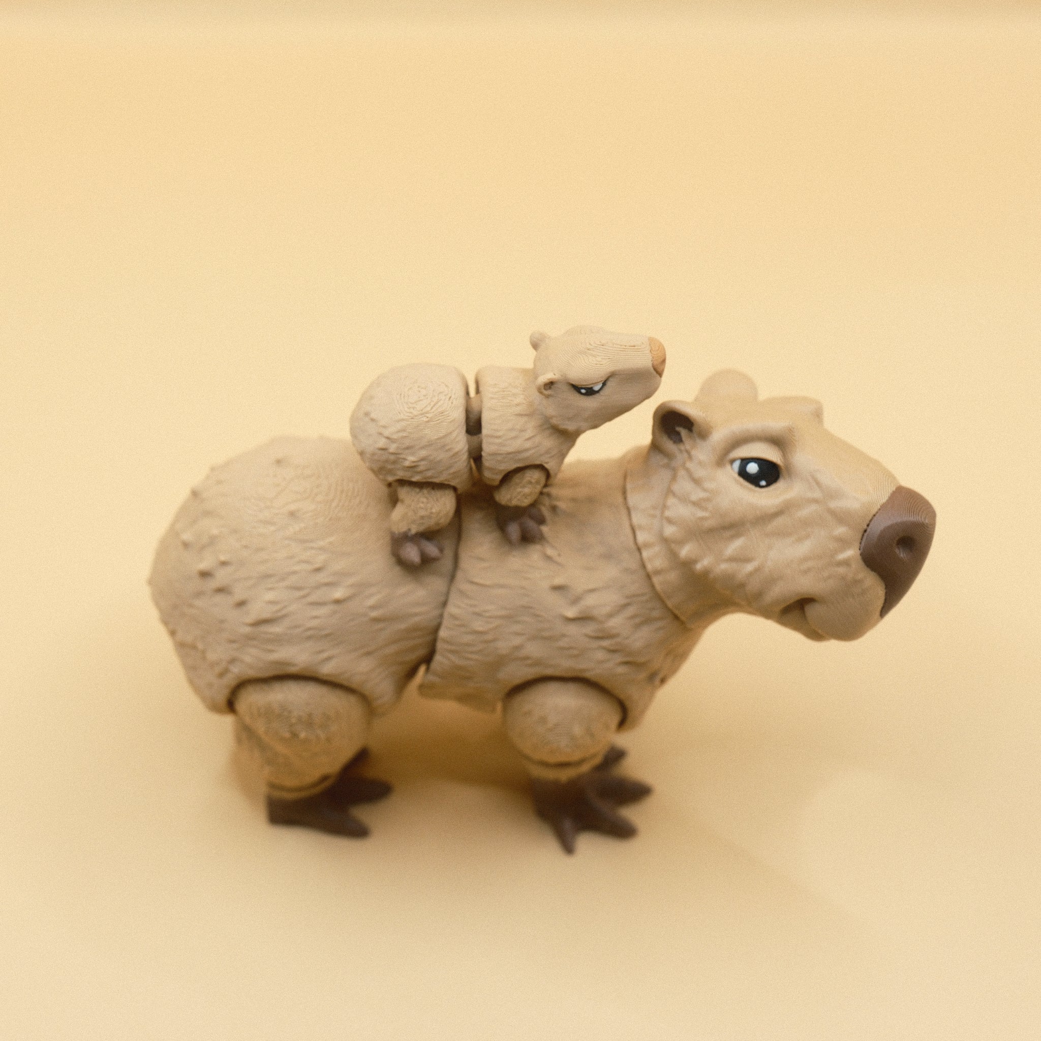 Capybara