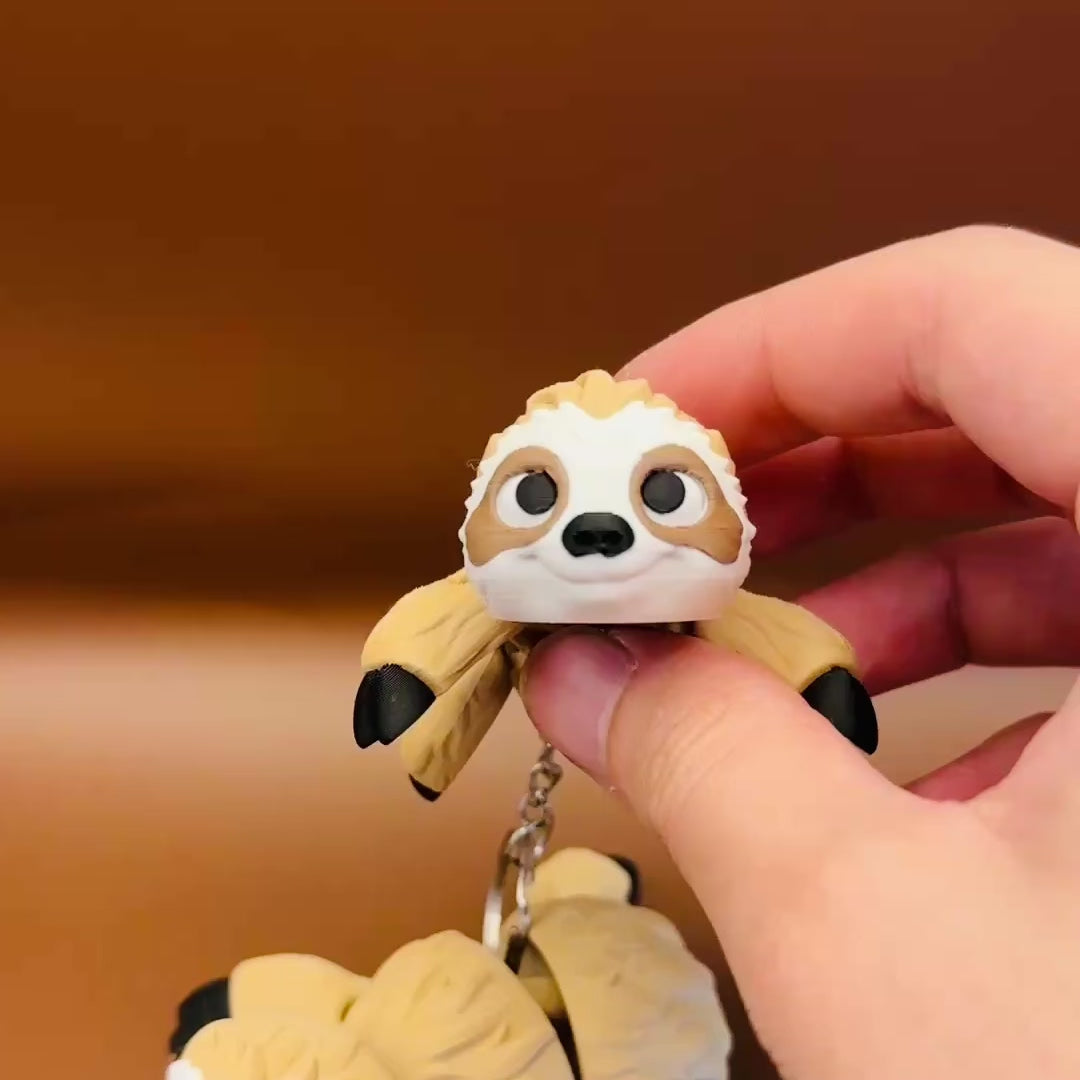 Speedy Sloth