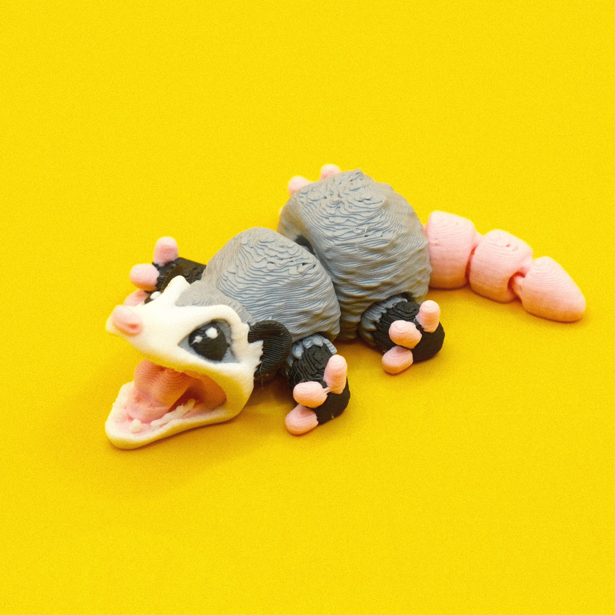 #10 Opossum