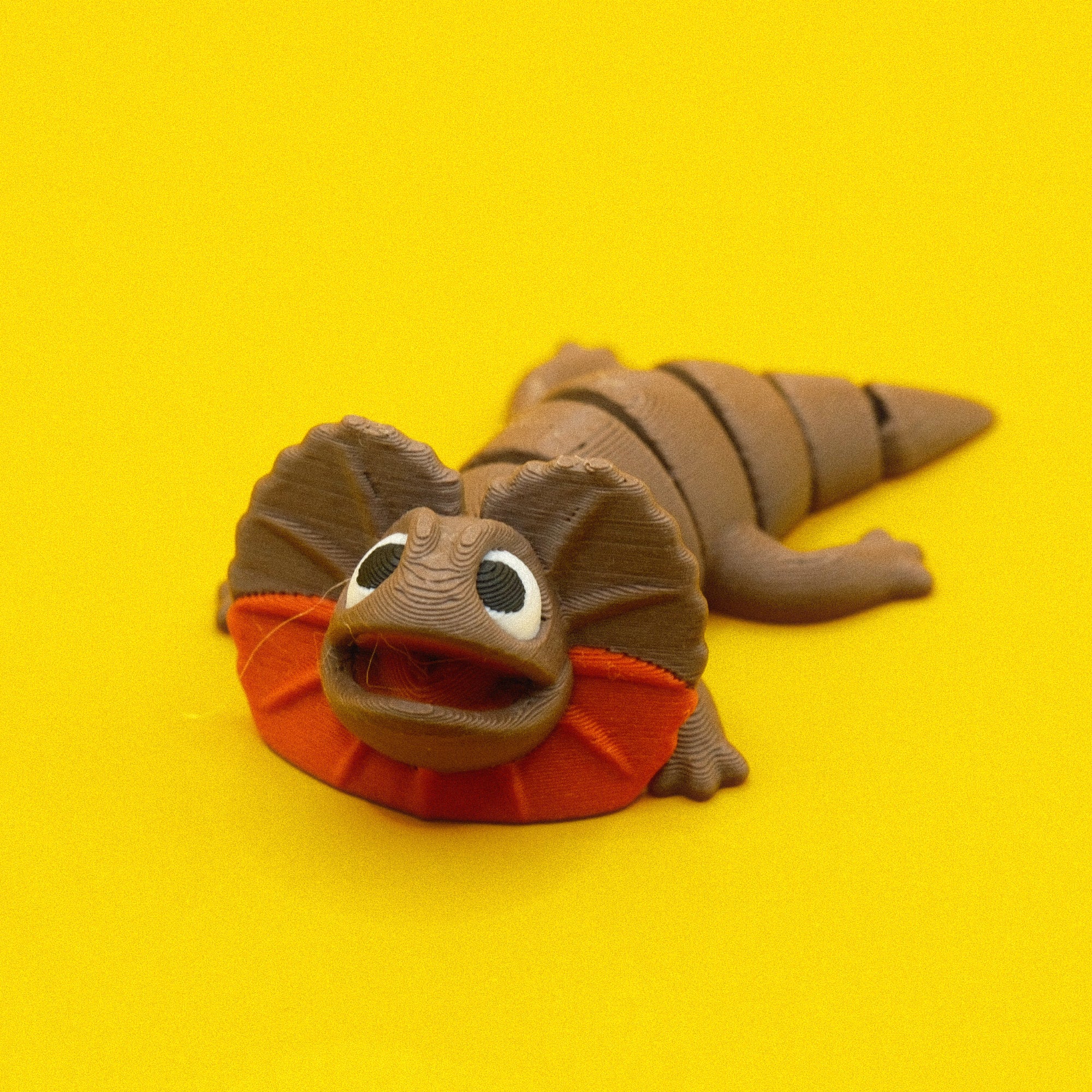 #12 Frilled Neck Lizard