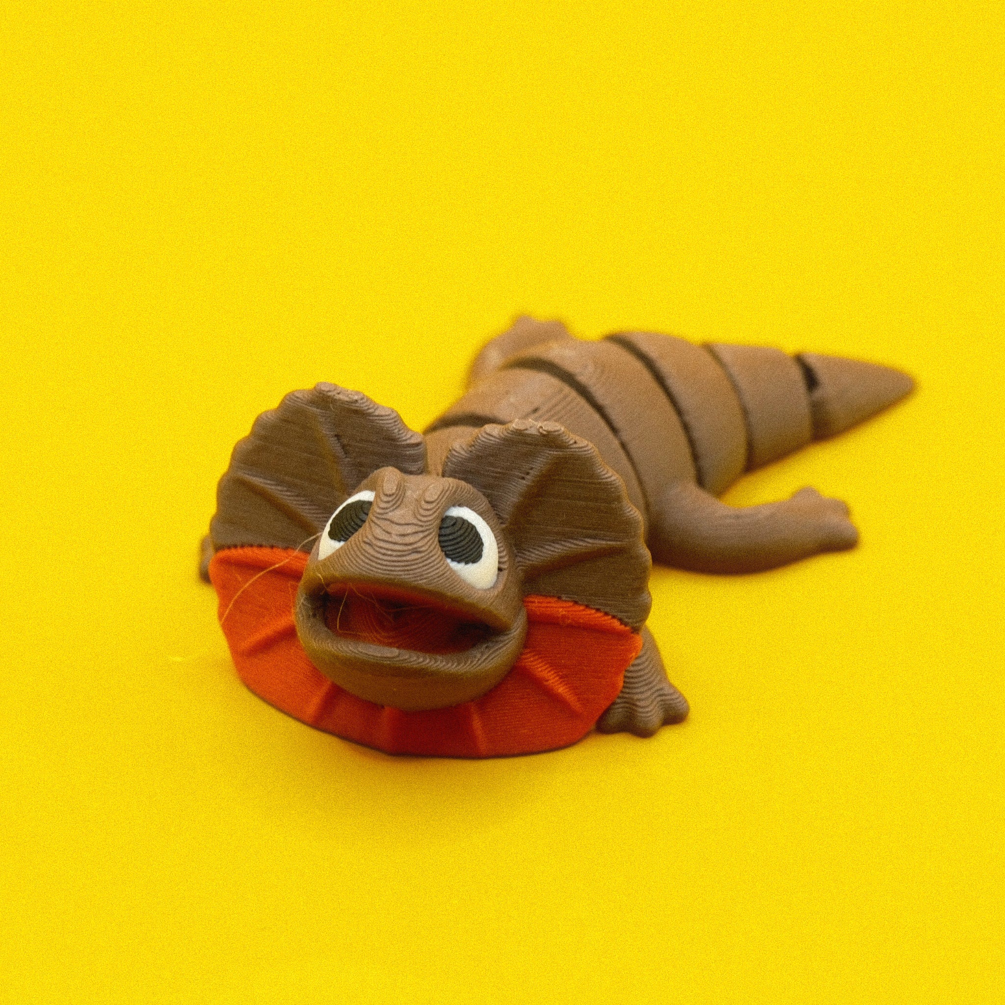 #12 Frilled Neck Lizard