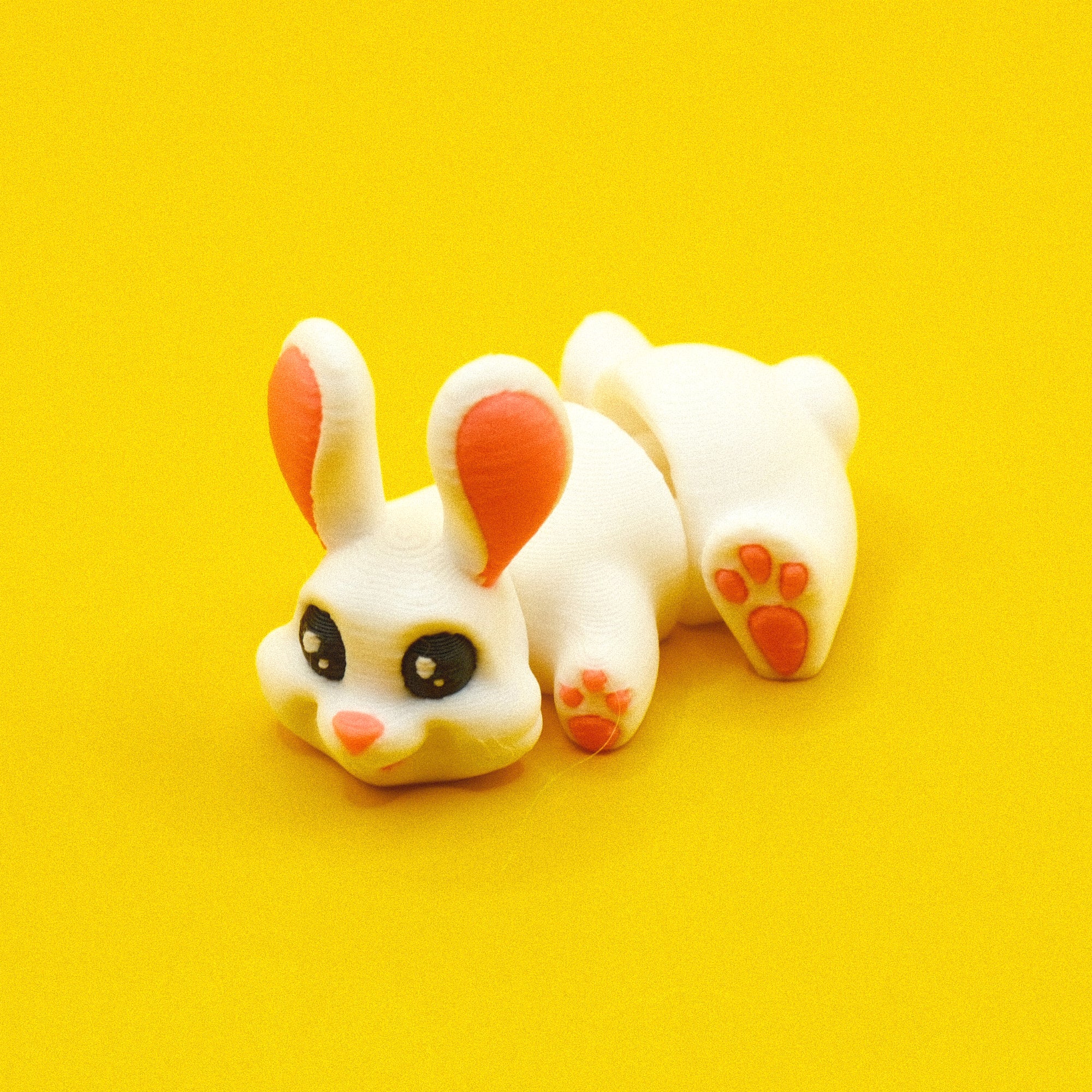 #23 Bunny