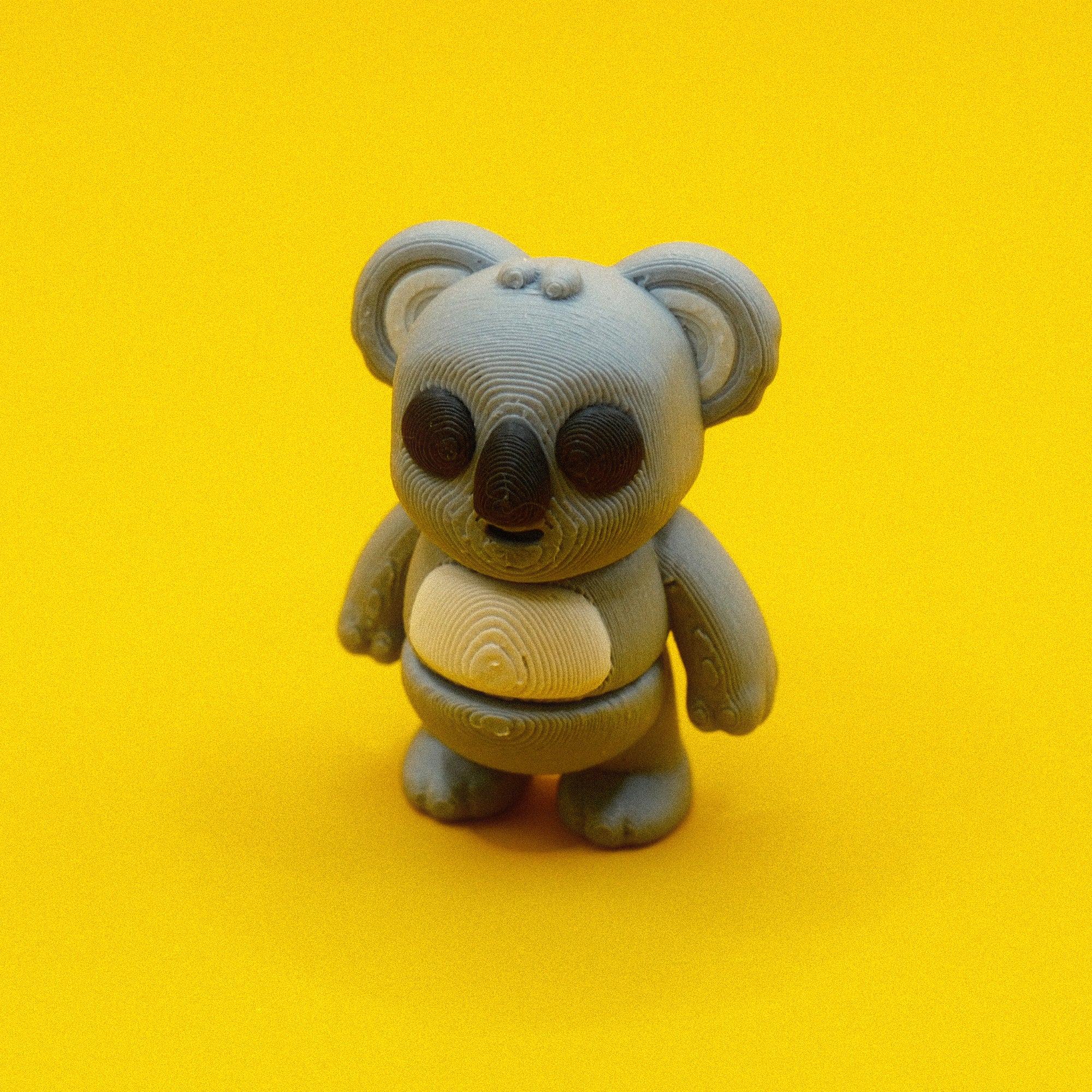 #29 Koala