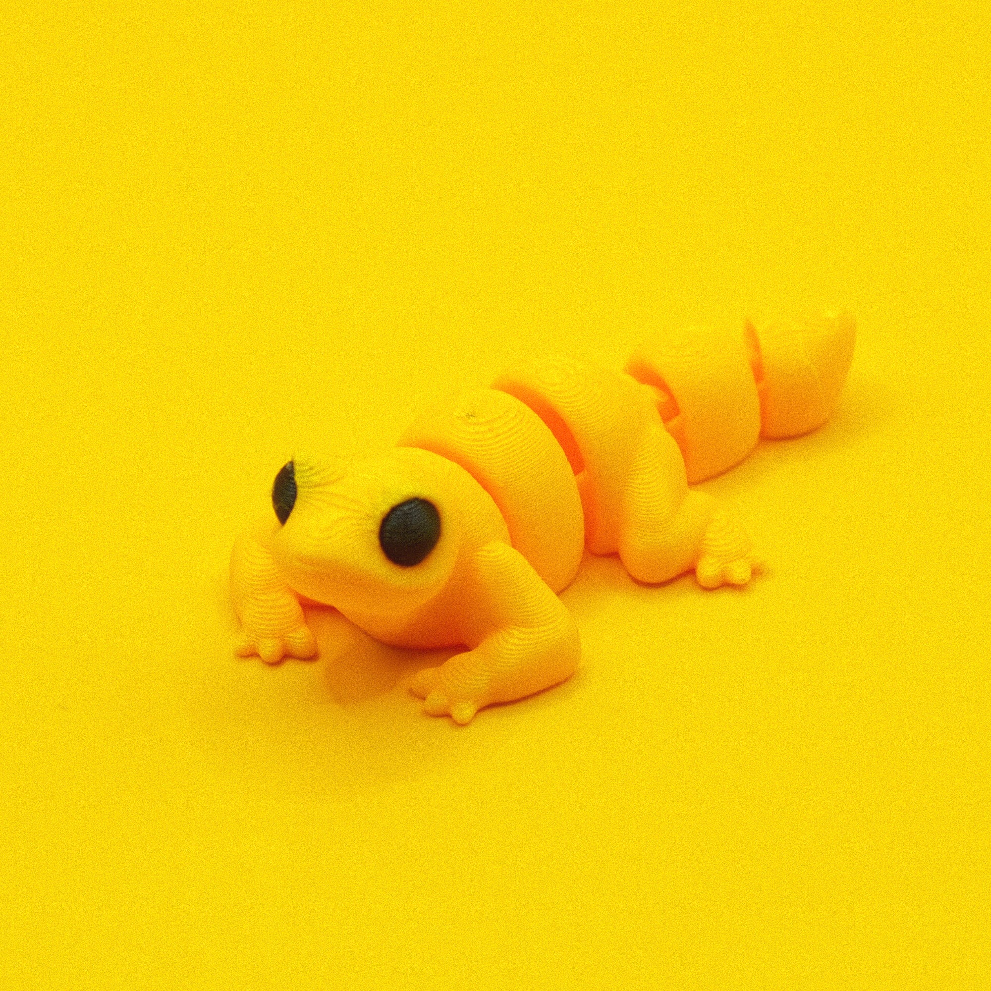 #31 Lizard
