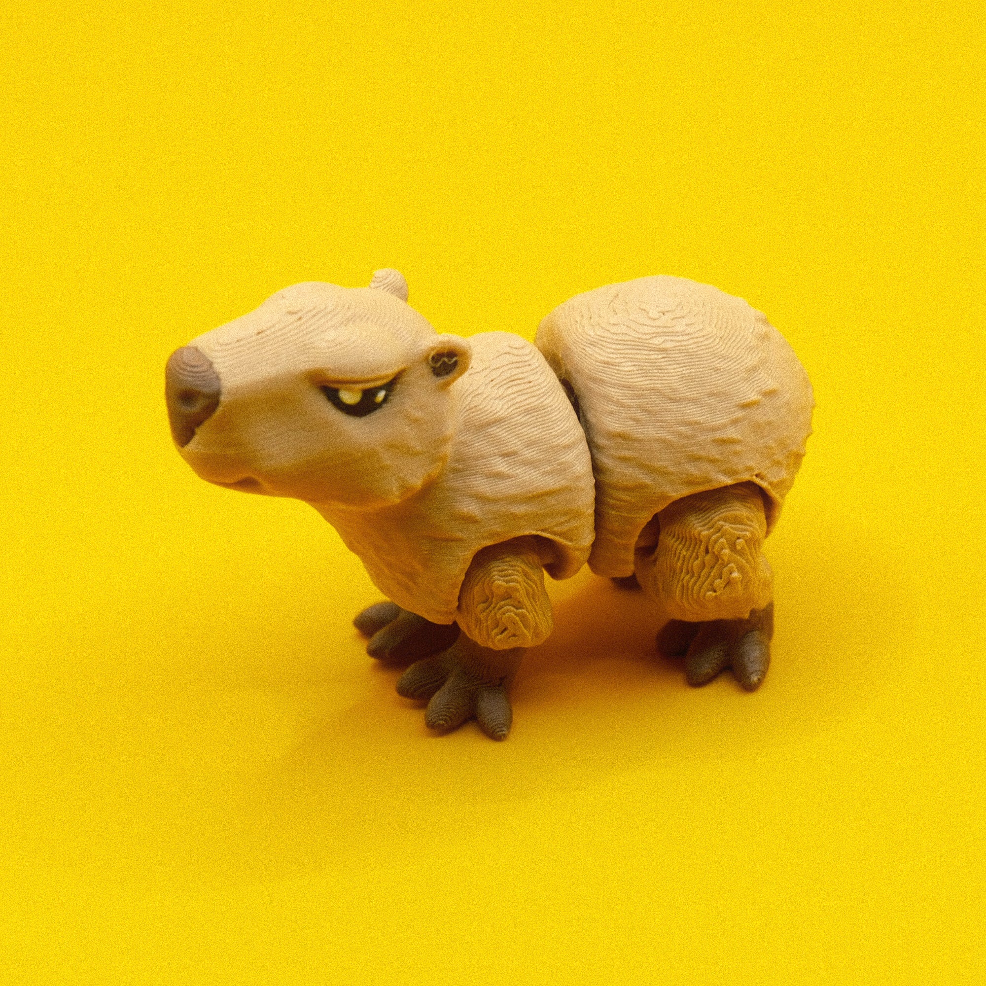 #33 Capybara