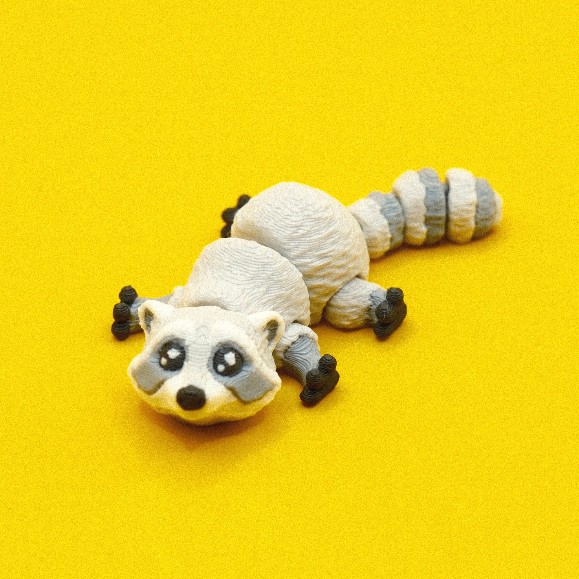 #36 Raccoon