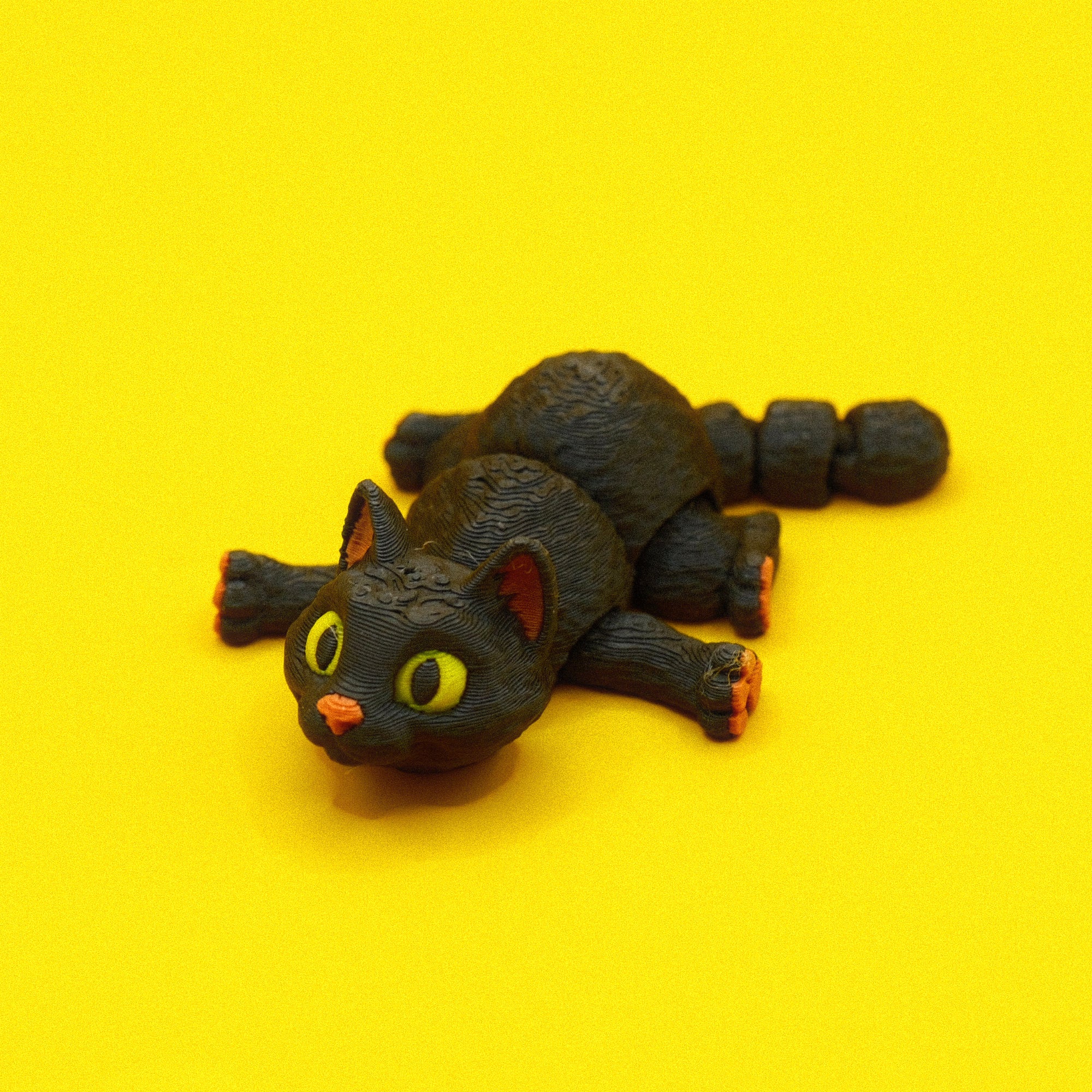 #41 Black Cat