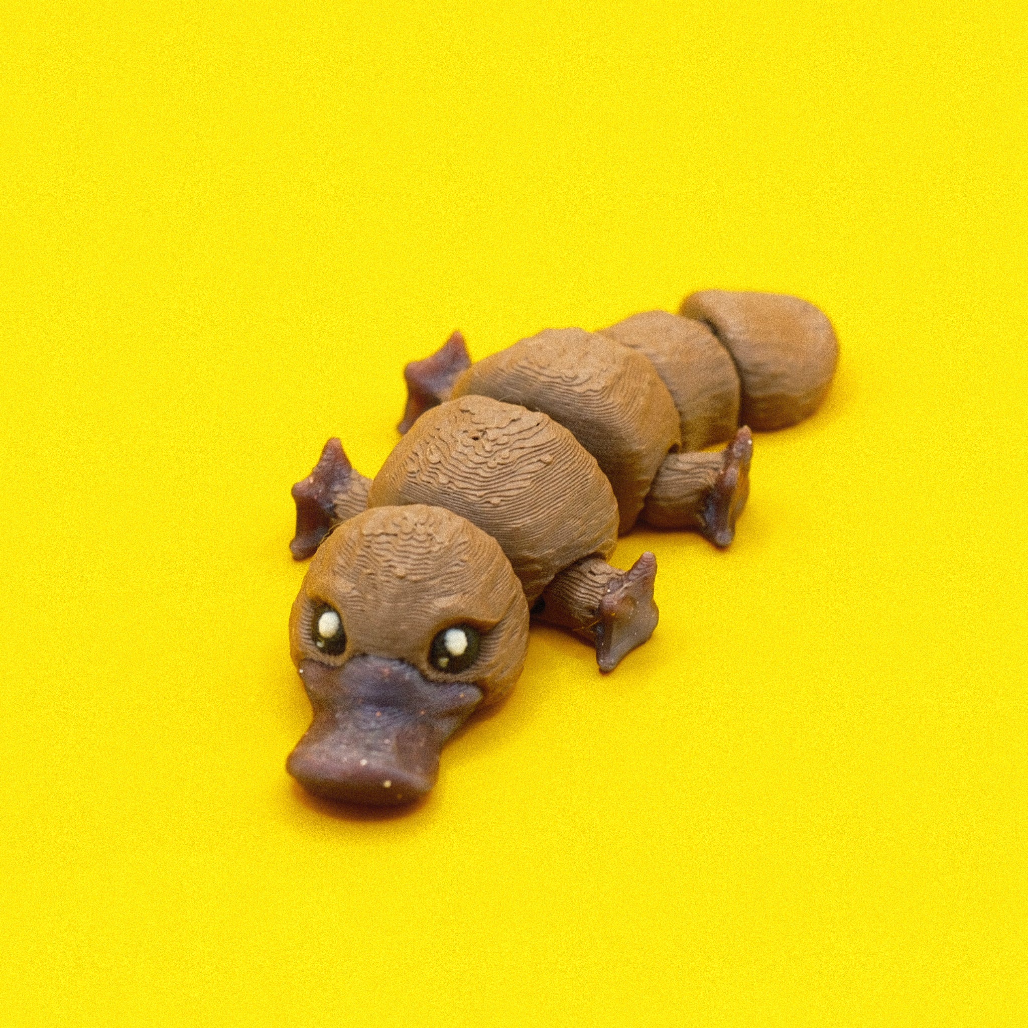 Platypus