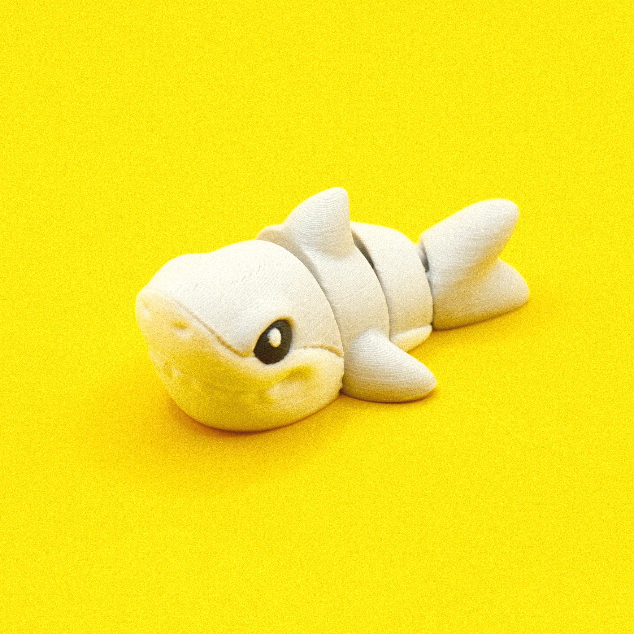 Shark