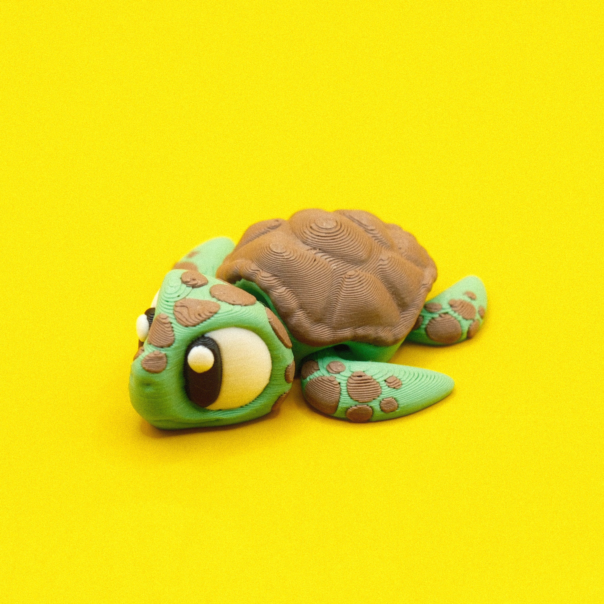 Sea Turtle