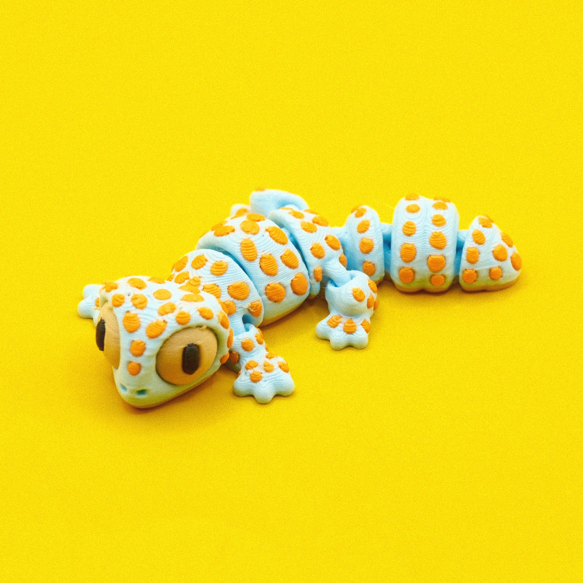 Gecko - Ice Blue
