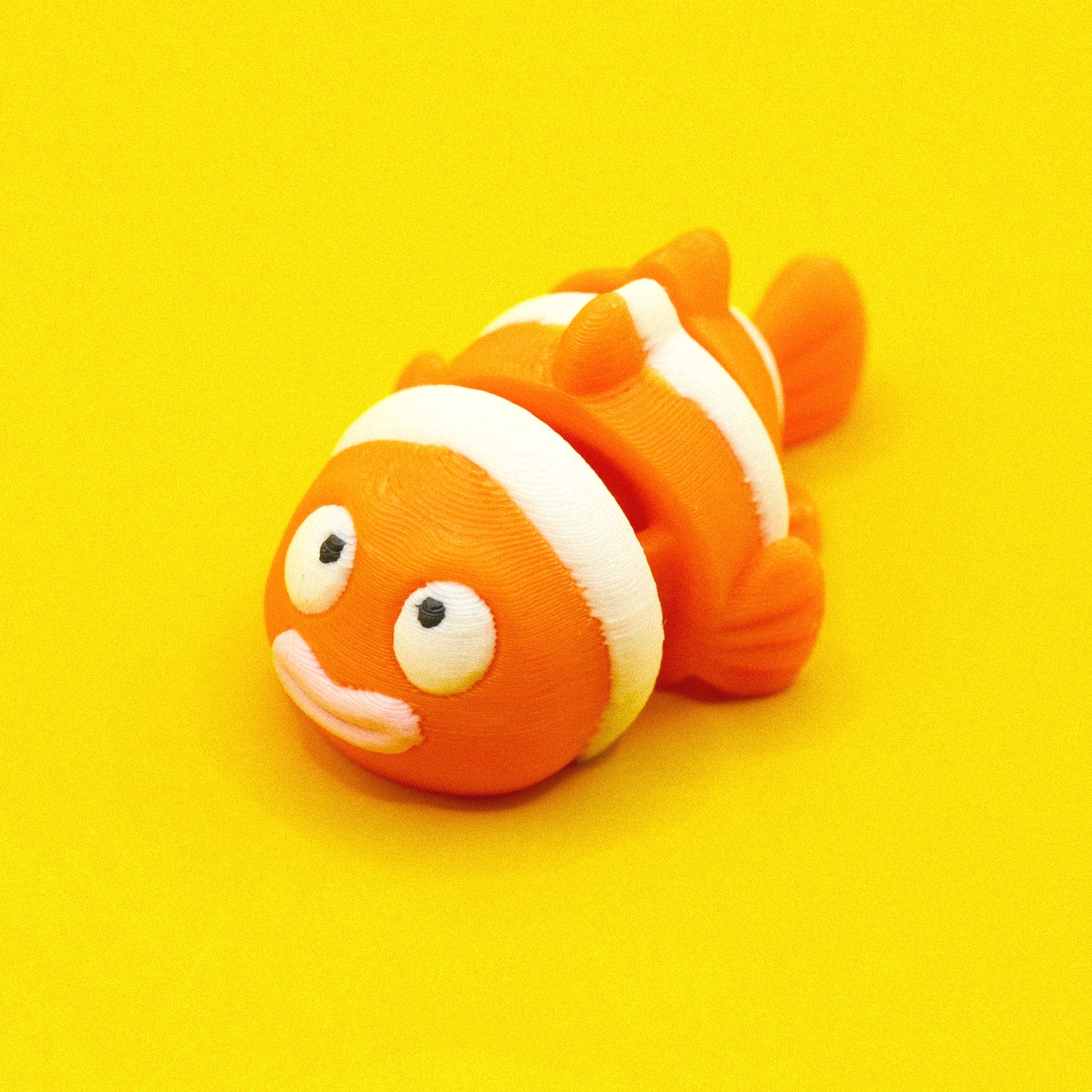 Clownfish