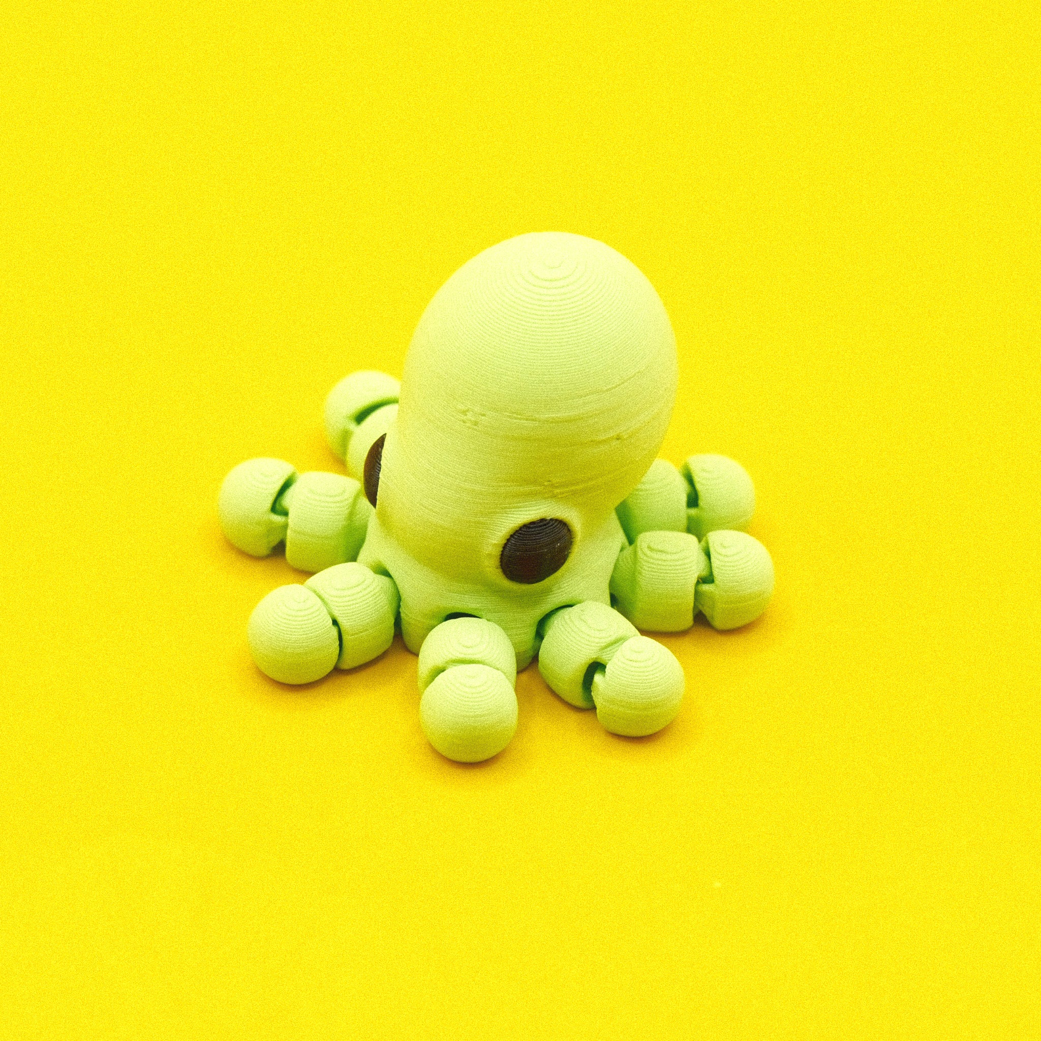 Octopus