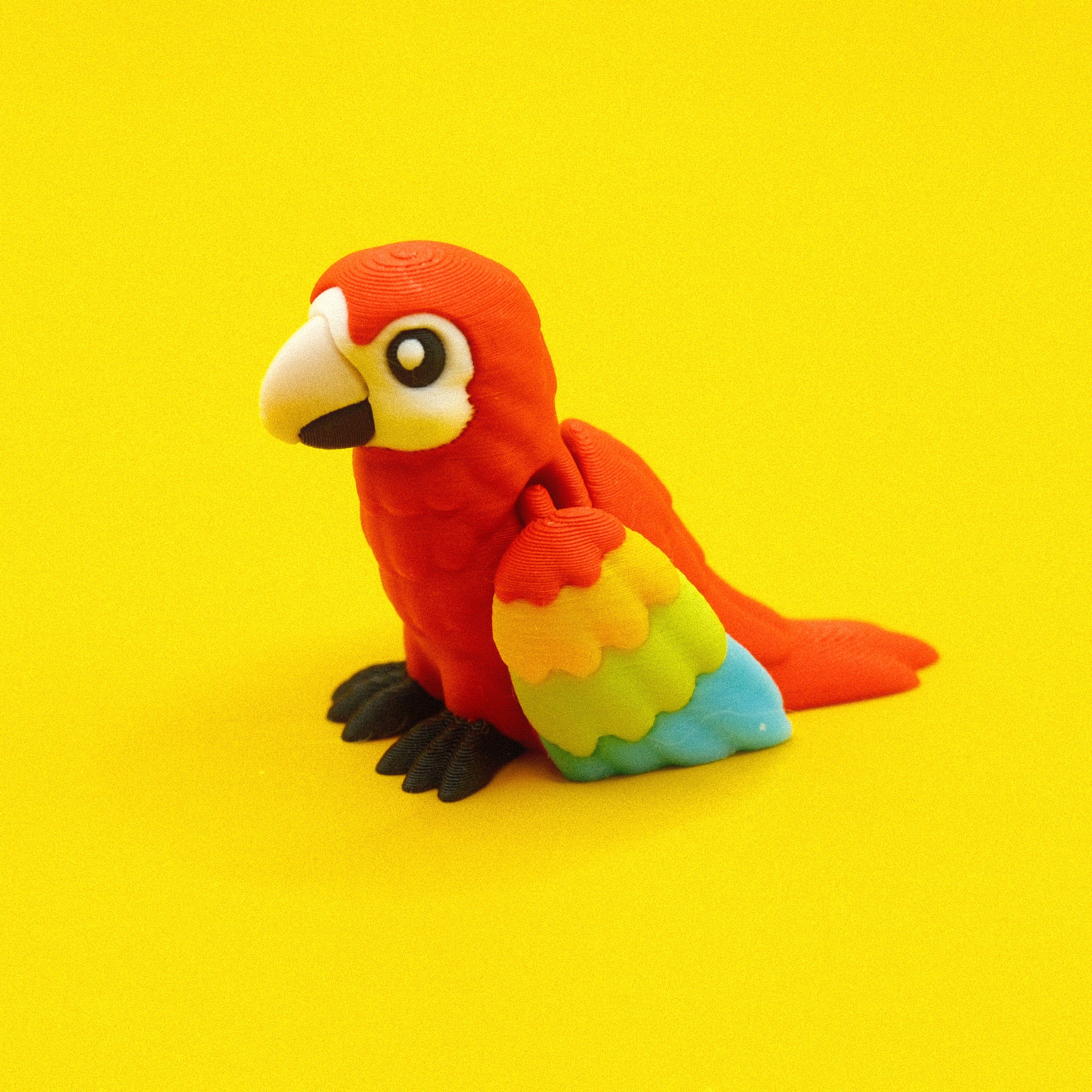 Macaw